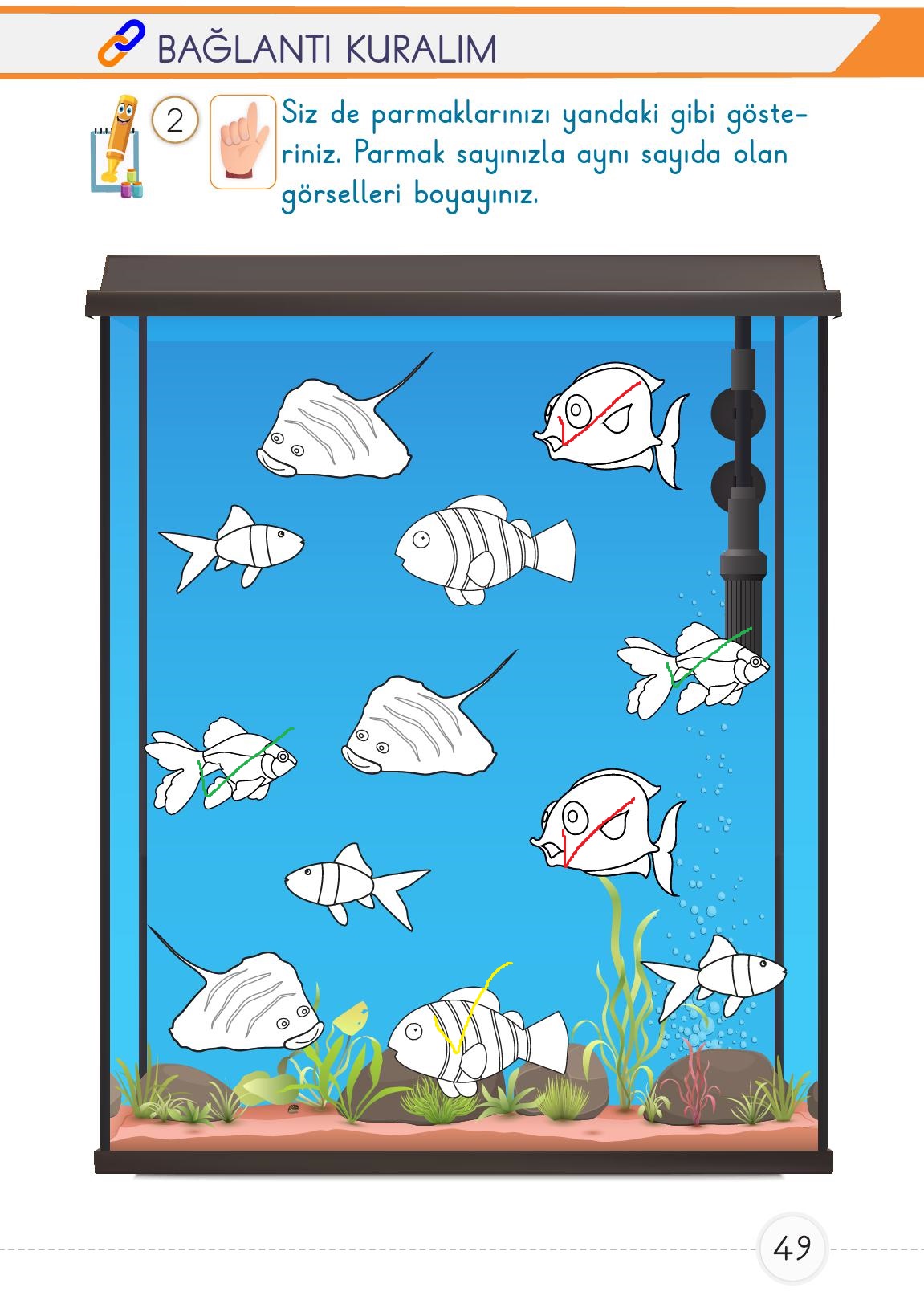 1. Sınıf Meb Yayınları Matematik Ders Kitabı 1. Kitap Sayfa 49 Cevapları 1. Sınıf Meb Yayınları Matematik Ders Kitabı 1. Kitap Sayfa 49 Cevapları