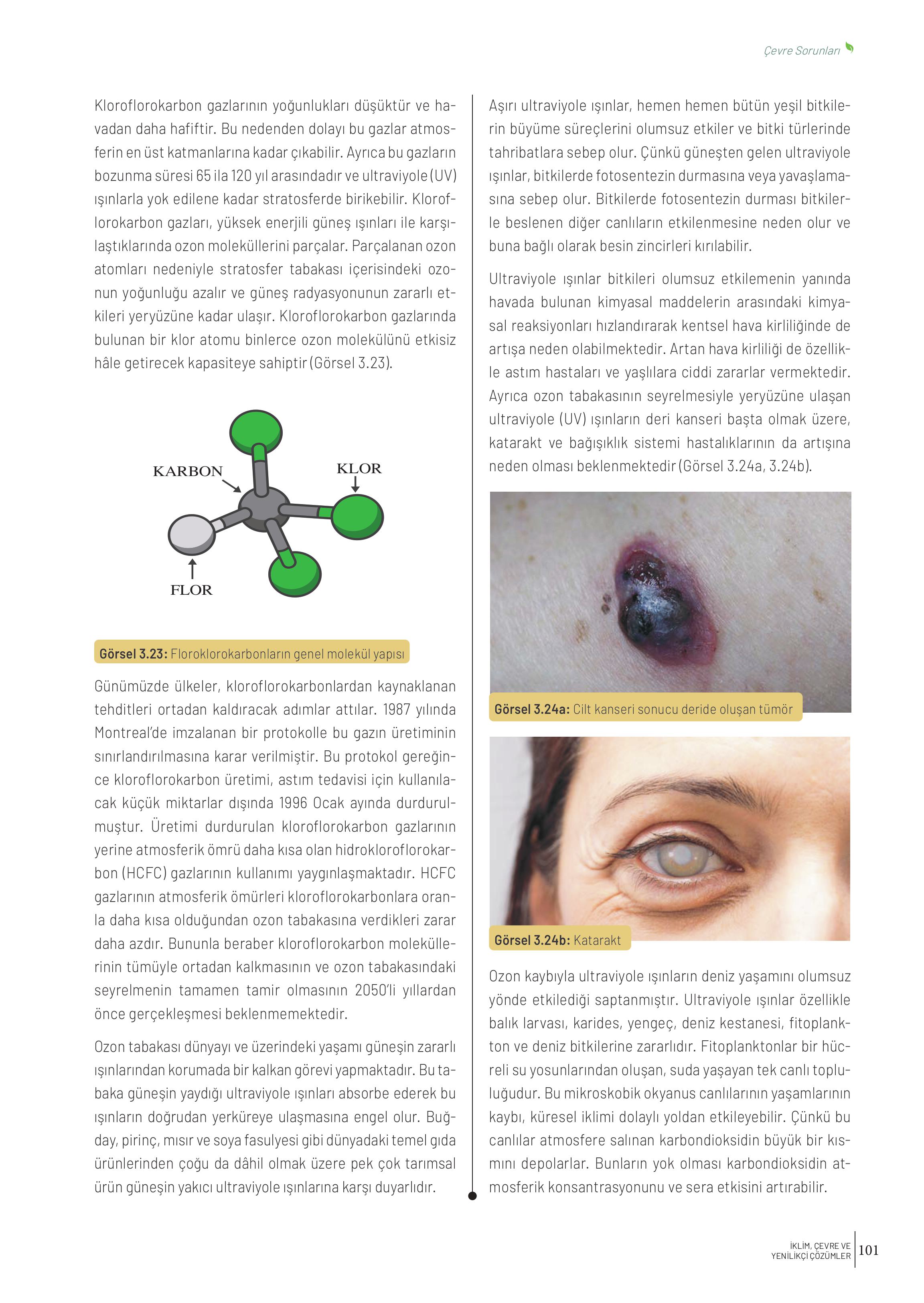 10-11-12. Sınıf Meb Yayınları İklim Çevre Ve Yenilikçi Çözümler Ders Kitabı Sayfa 101 Cevapları