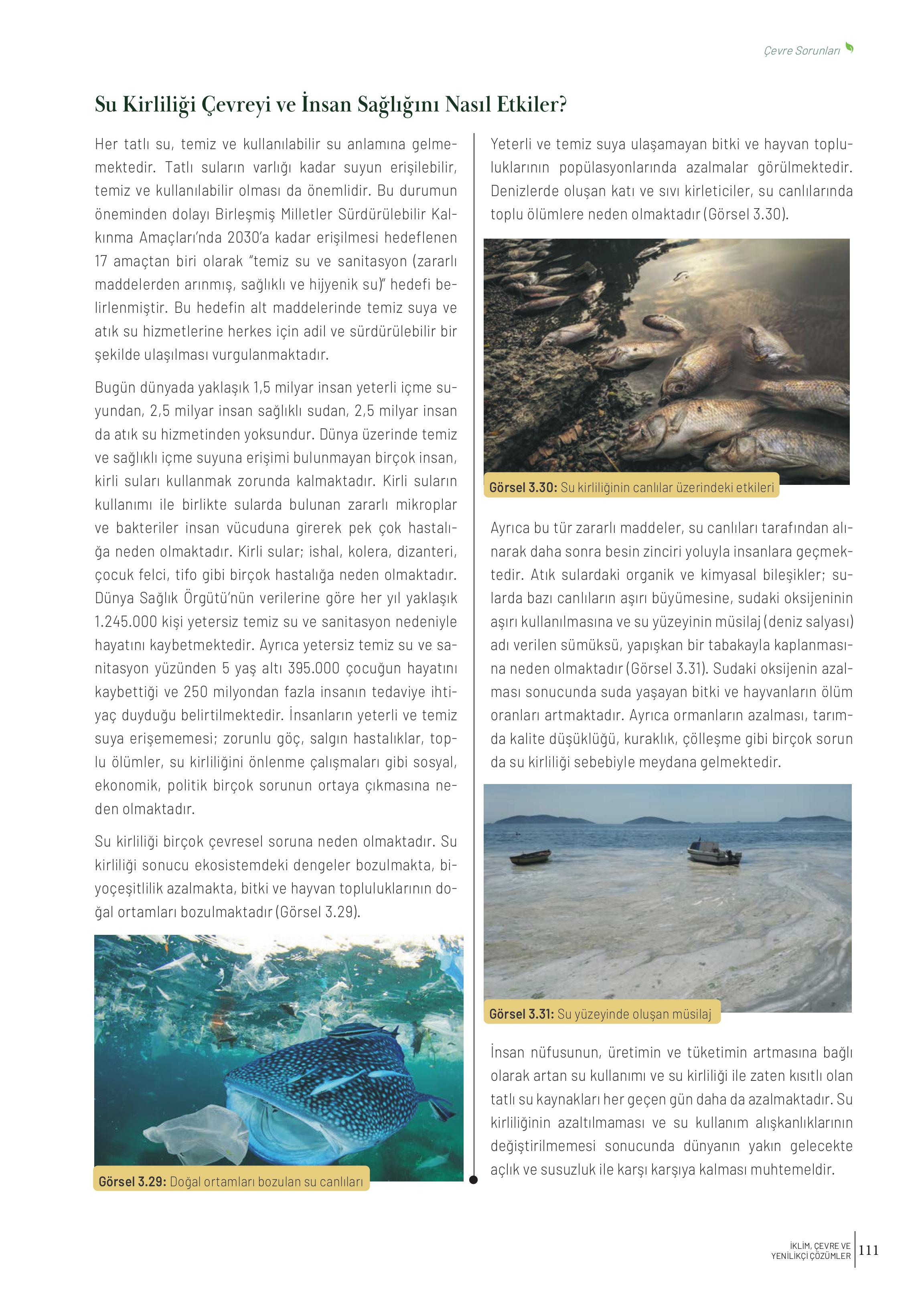 10-11-12. Sınıf Meb Yayınları İklim Çevre Ve Yenilikçi Çözümler Ders Kitabı Sayfa 111 Cevapları