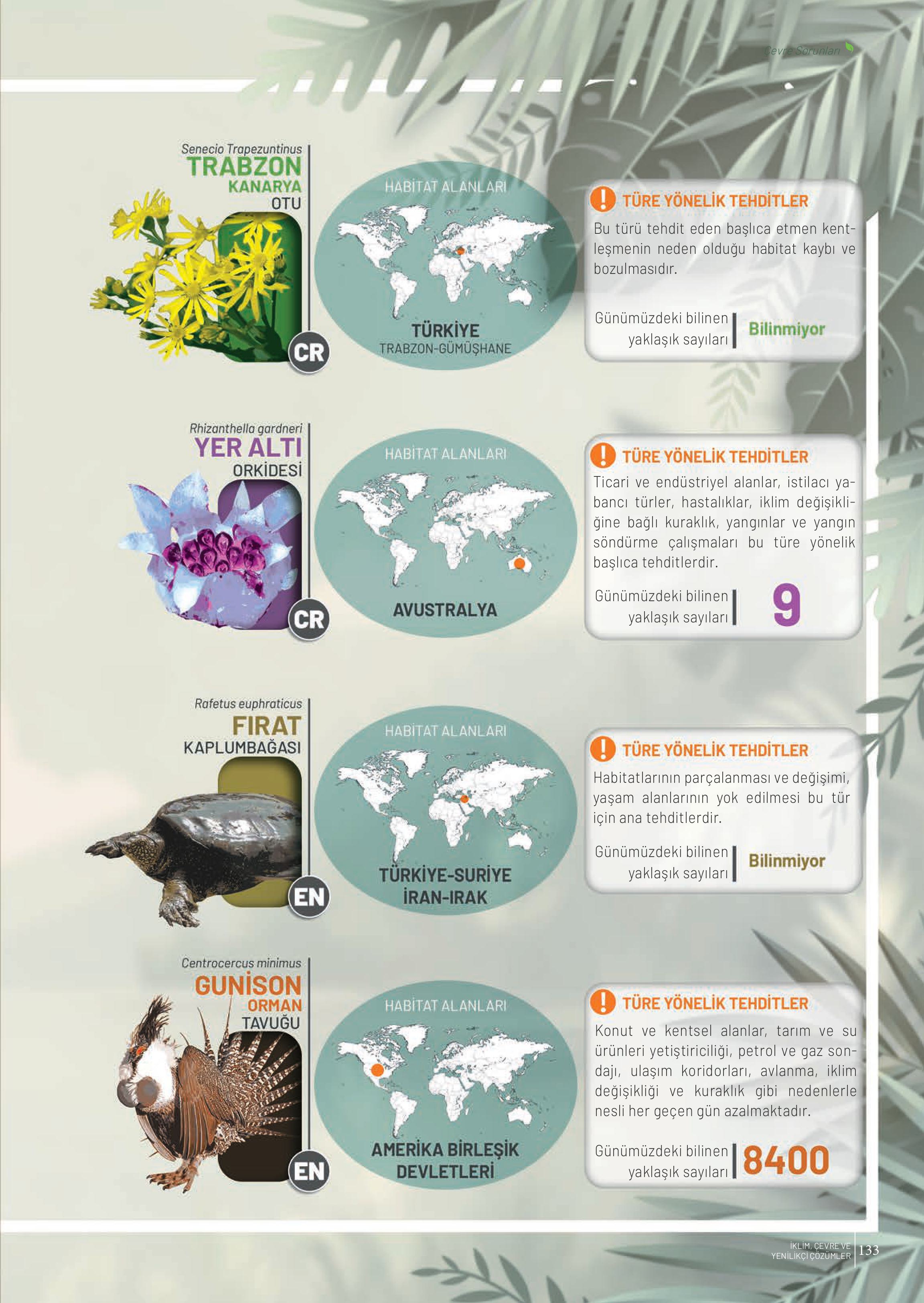 10-11-12. Sınıf Meb Yayınları İklim Çevre Ve Yenilikçi Çözümler Ders Kitabı Sayfa 133 Cevapları