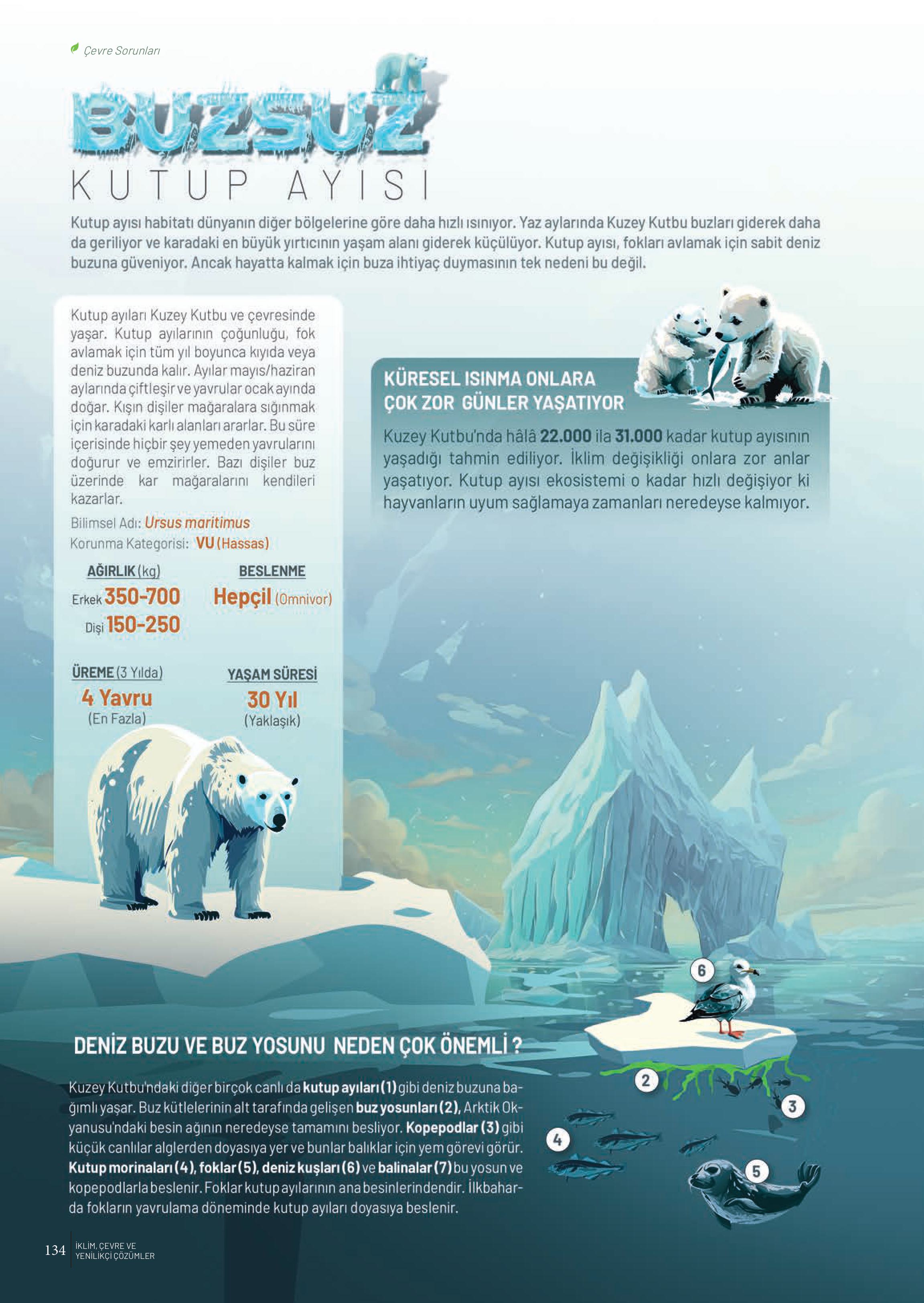 10-11-12. Sınıf Meb Yayınları İklim Çevre Ve Yenilikçi Çözümler Ders Kitabı Sayfa 134 Cevapları