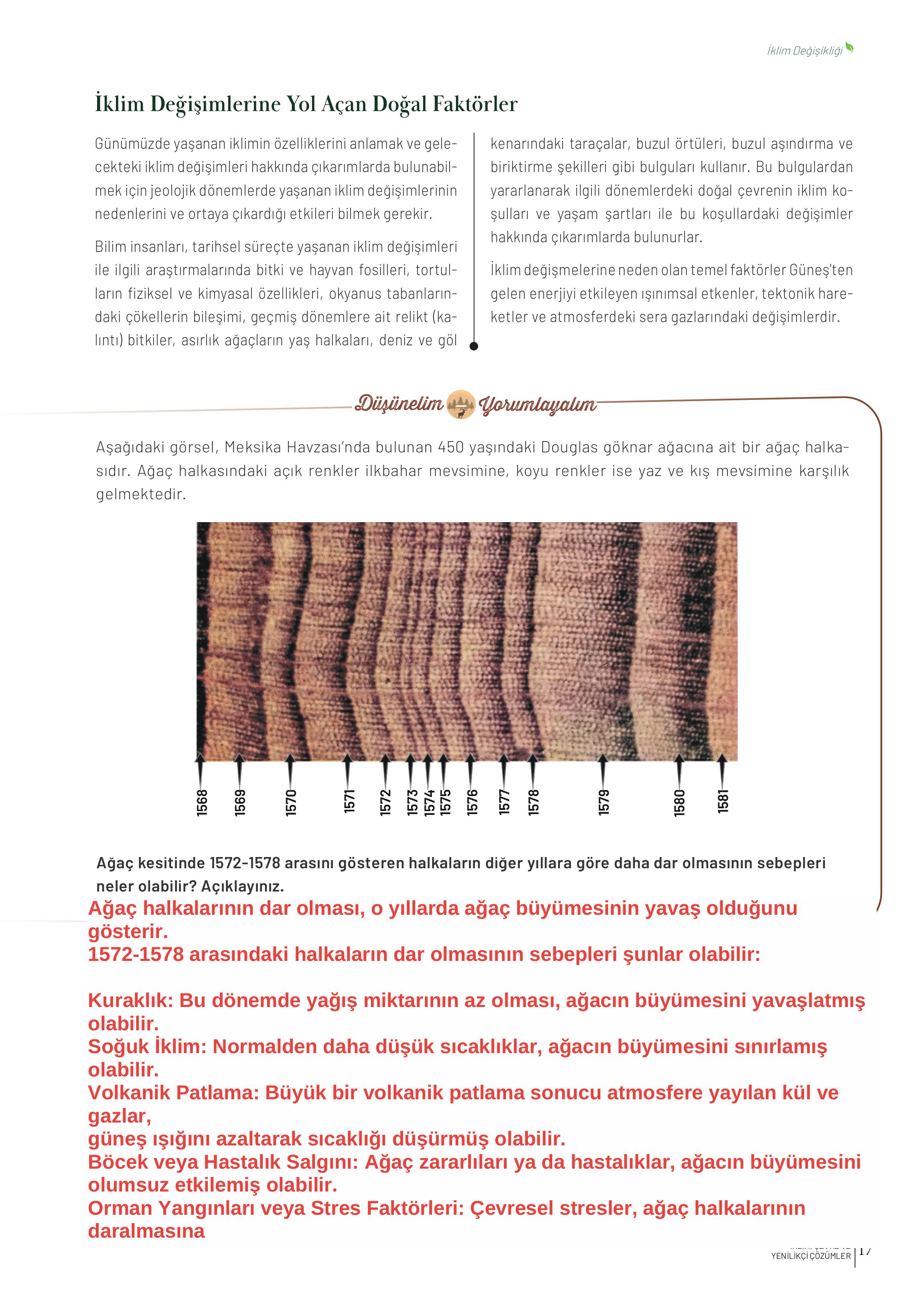 10-11-12. Sınıf Meb Yayınları İklim Çevre Ve Yenilikçi Çözümler Ders Kitabı Sayfa 17 Cevapları