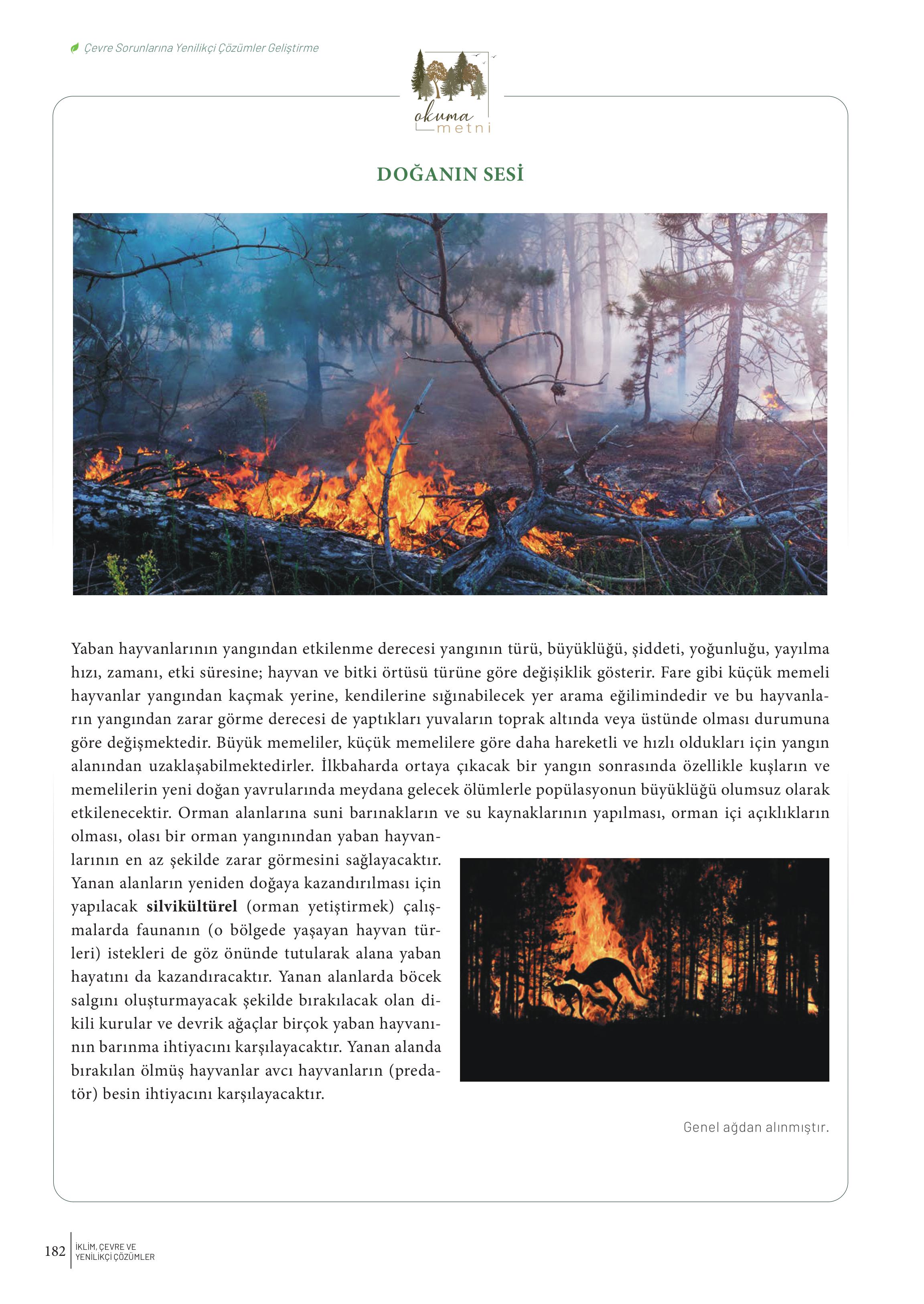 10-11-12. Sınıf Meb Yayınları İklim Çevre Ve Yenilikçi Çözümler Ders Kitabı Sayfa 182 Cevapları