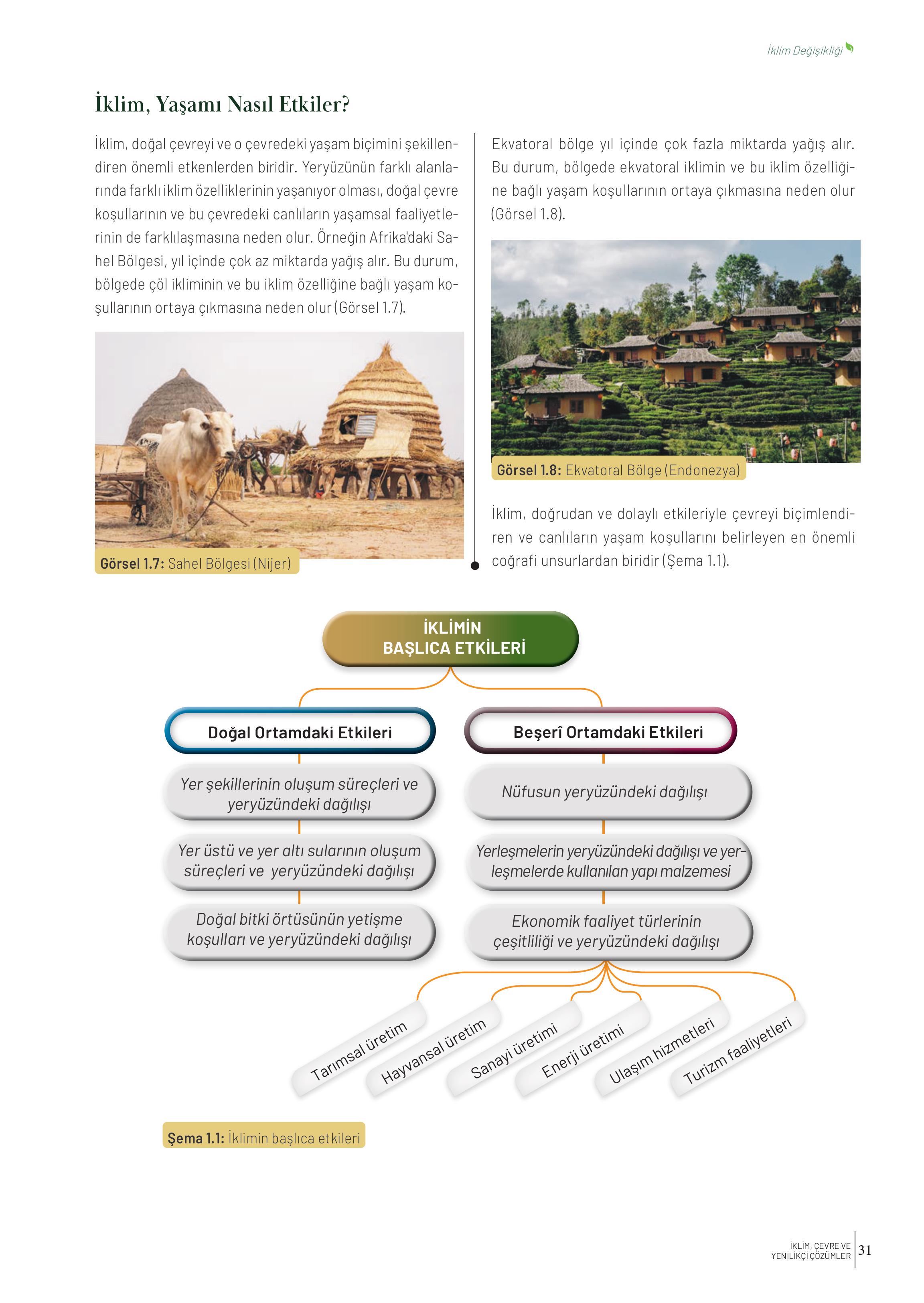 10-11-12. Sınıf Meb Yayınları İklim Çevre Ve Yenilikçi Çözümler Ders Kitabı Sayfa 31 Cevapları
