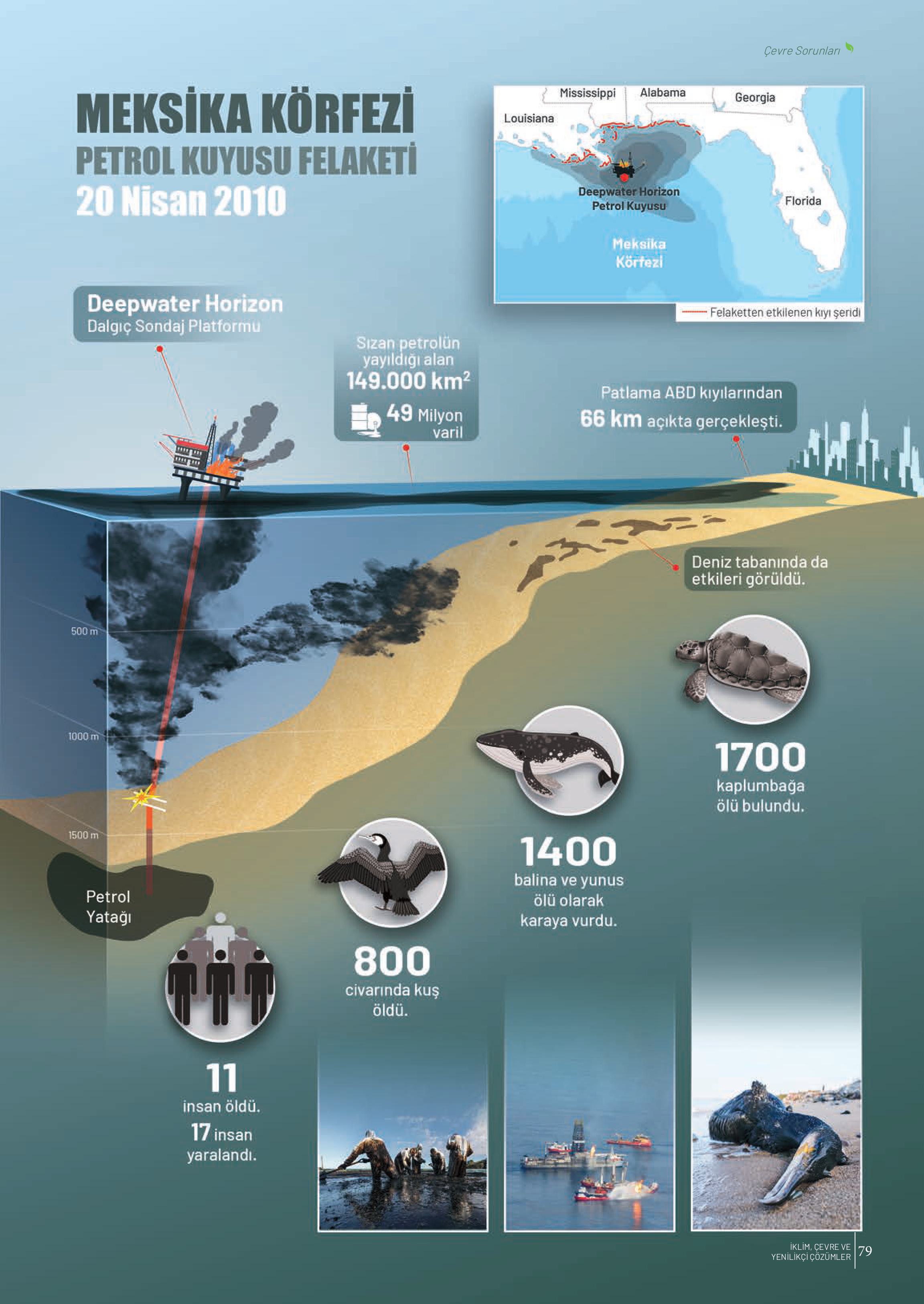 10-11-12. Sınıf Meb Yayınları İklim Çevre Ve Yenilikçi Çözümler Ders Kitabı Sayfa 79 Cevapları 10-11-12. Sınıf Meb Yayınları İklim Çevre Ve Yenilikçi Çözümler Ders Kitabı Sayfa 79 Cevapları