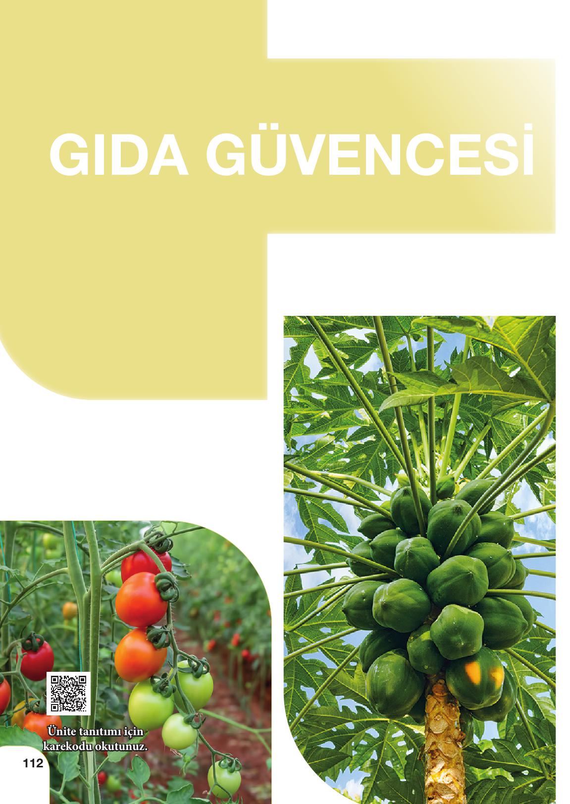 10-11. Sınıf Meb Yayınları Sürdürülebilir Tarım Ve Gıda Güvenliği Ders Kitabı Sayfa 112 Cevapları