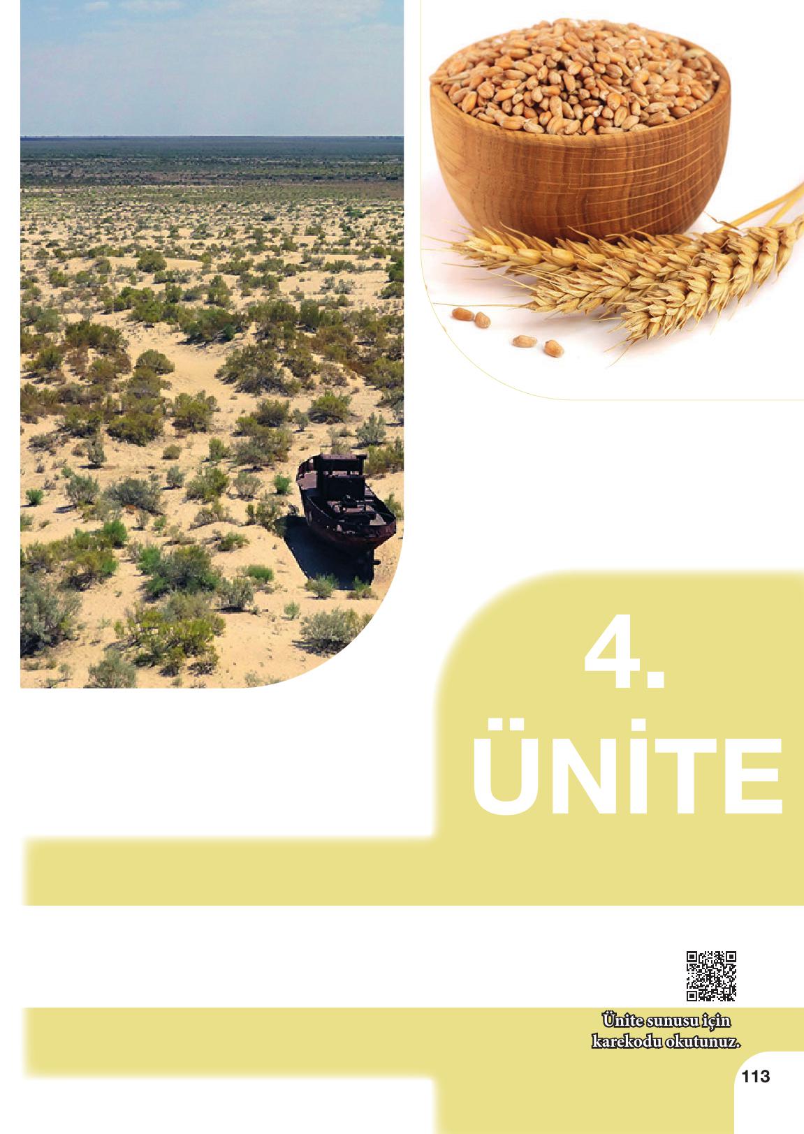 10-11. Sınıf Meb Yayınları Sürdürülebilir Tarım Ve Gıda Güvenliği Ders Kitabı Sayfa 113 Cevapları