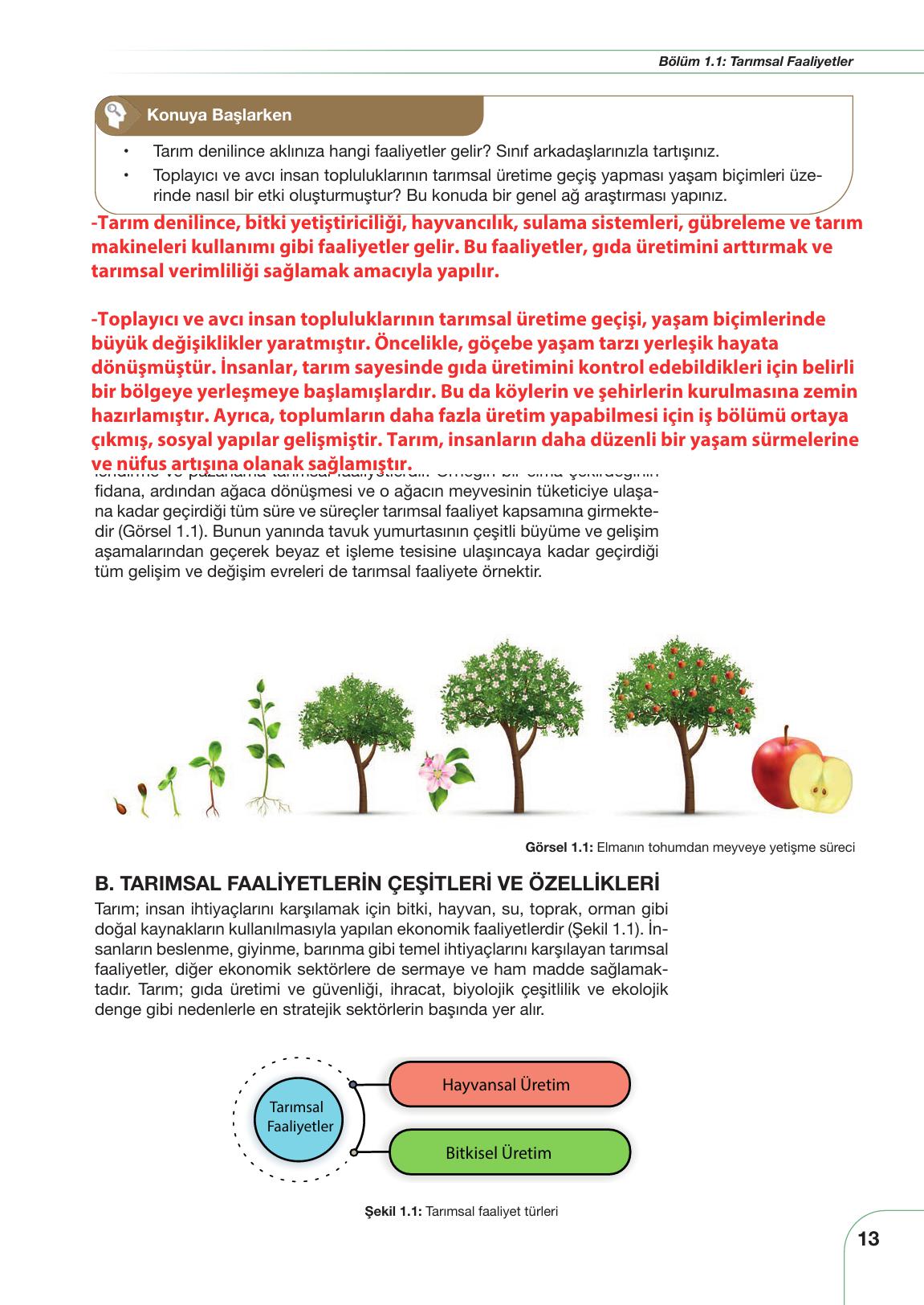 10-11. Sınıf Meb Yayınları Sürdürülebilir Tarım Ve Gıda Güvenliği Ders Kitabı Sayfa 13 Cevapları 10-11. Sınıf Meb Yayınları Sürdürülebilir Tarım Ve Gıda Güvenliği Ders Kitabı Sayfa 13 Cevapları