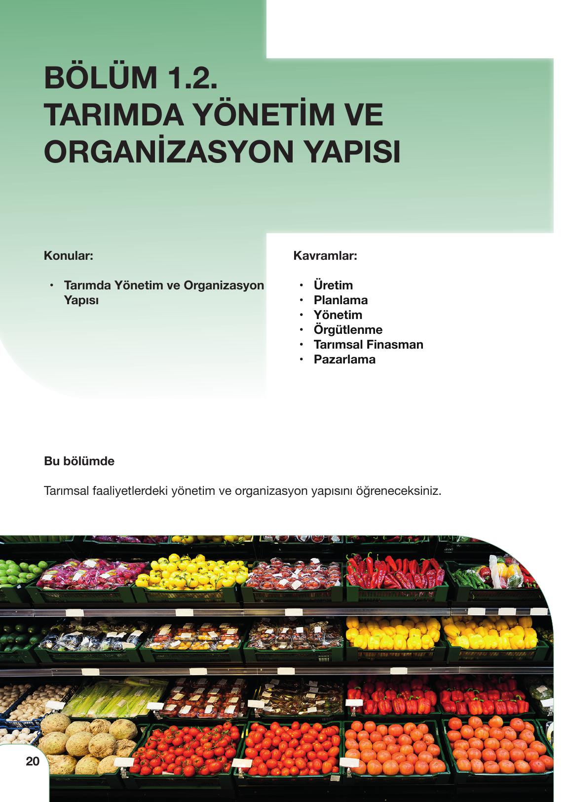 10-11. Sınıf Meb Yayınları Sürdürülebilir Tarım Ve Gıda Güvenliği Ders Kitabı Sayfa 20 Cevapları