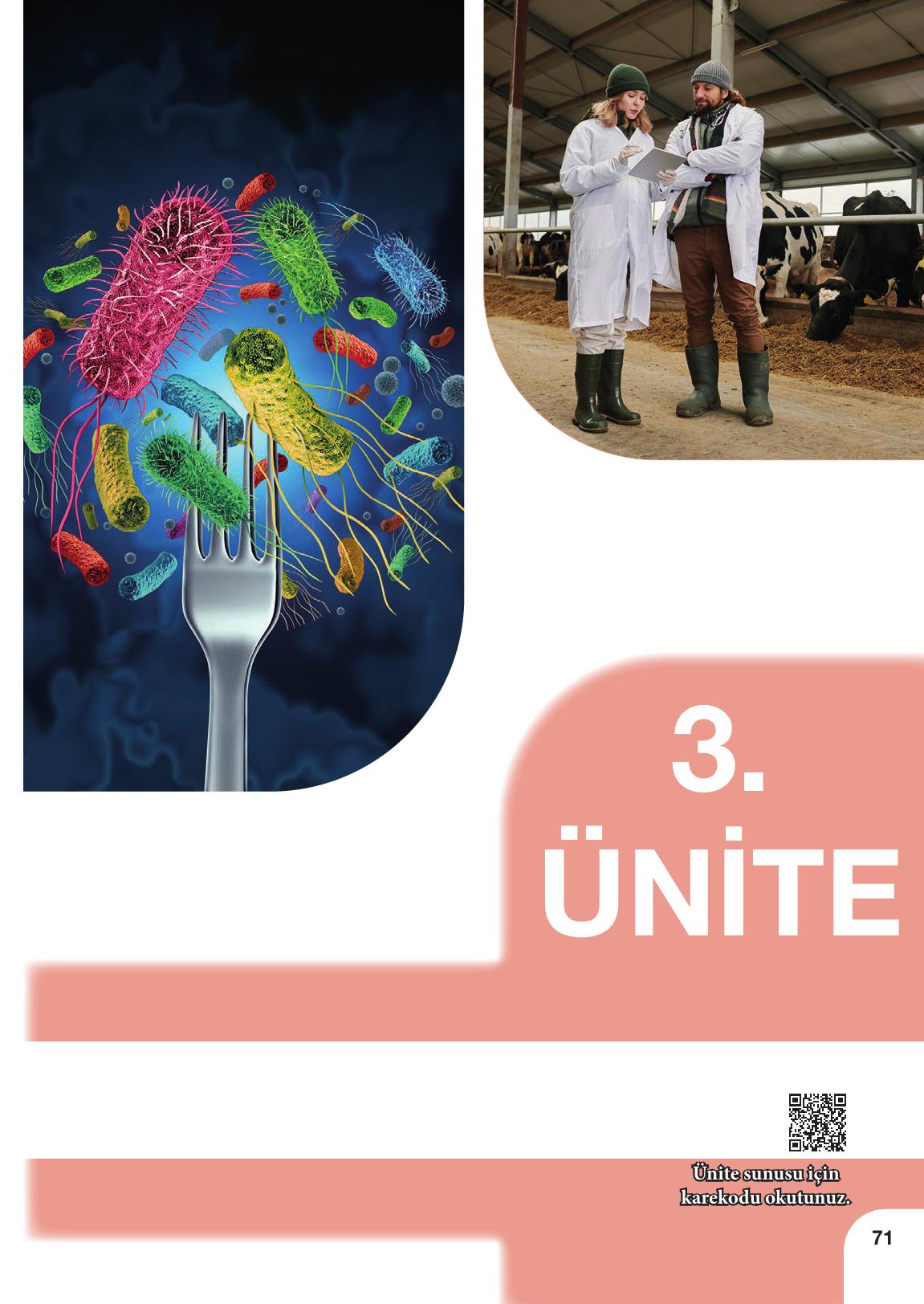 10-11. Sınıf Meb Yayınları Sürdürülebilir Tarım Ve Gıda Güvenliği Ders Kitabı Sayfa 71 Cevapları 10-11. Sınıf Meb Yayınları Sürdürülebilir Tarım Ve Gıda Güvenliği Ders Kitabı Sayfa 71 Cevapları