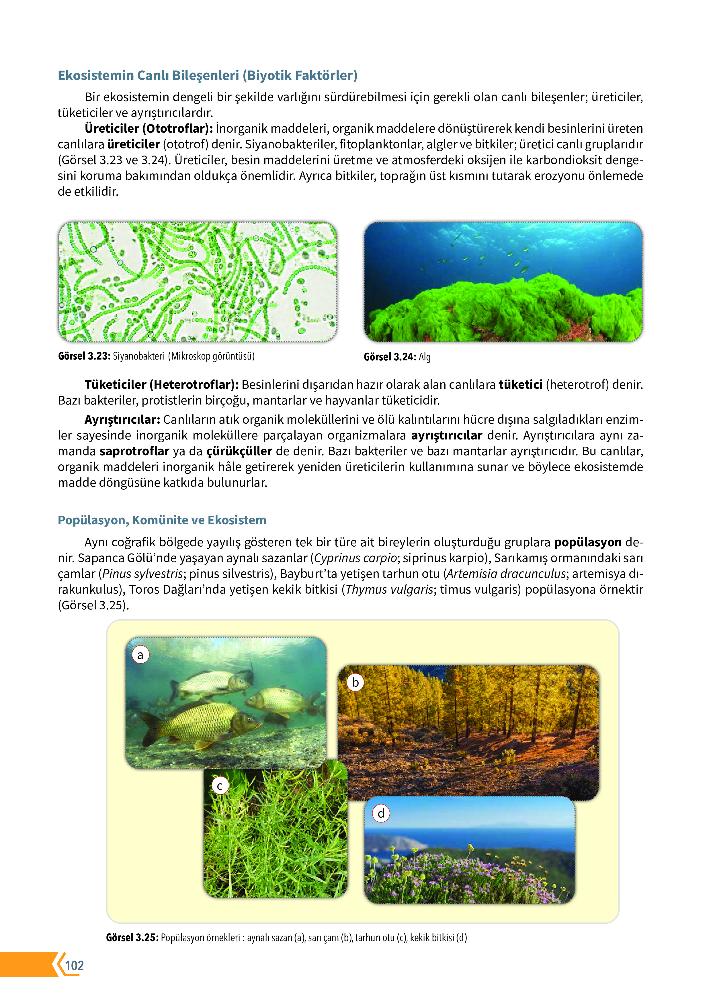 10. Sınıf Meb Yayınları Fen Lisesi Biyoloji Ders Kitabı Sayfa 102 Cevapları