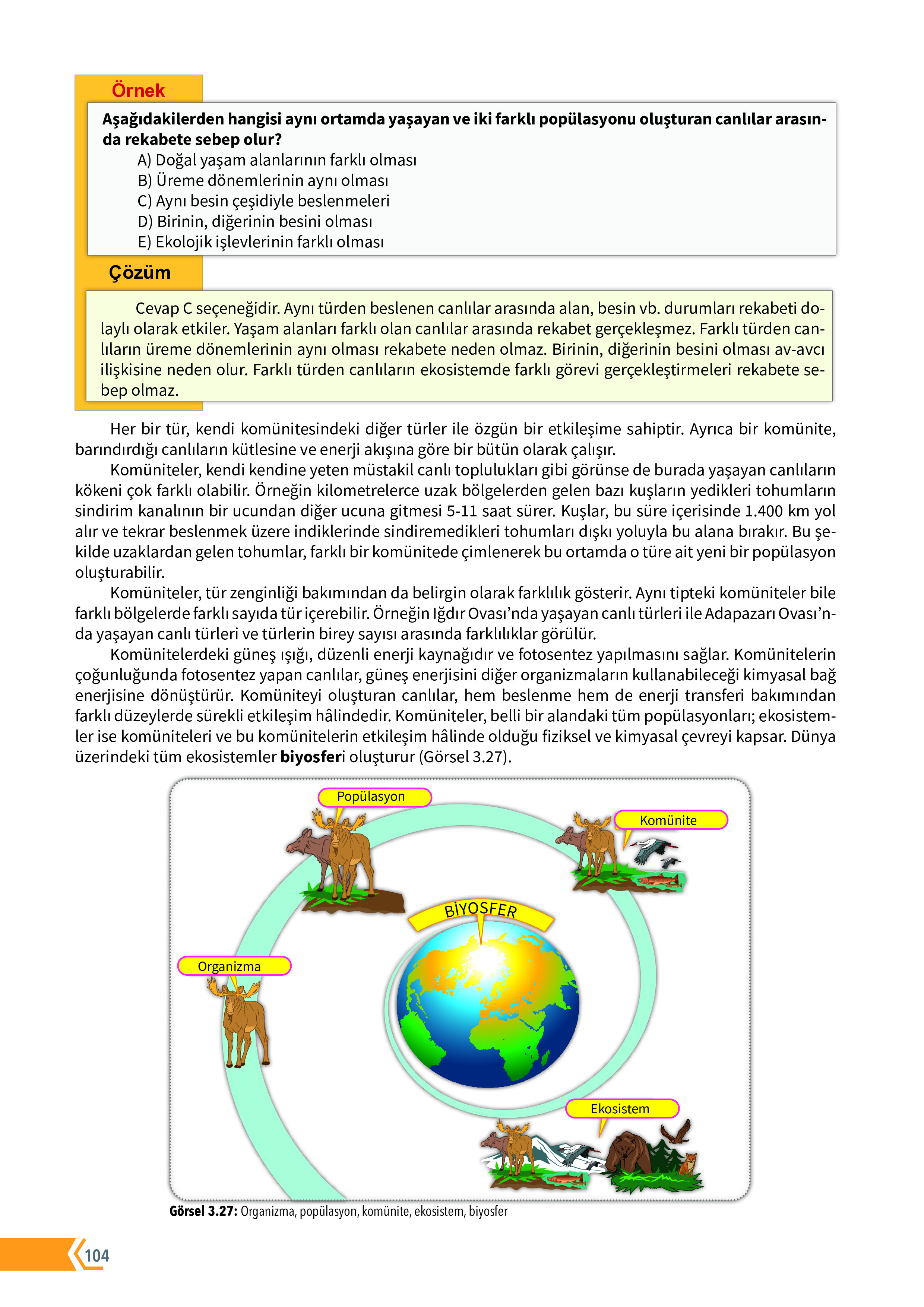 10. Sınıf Meb Yayınları Fen Lisesi Biyoloji Ders Kitabı Sayfa 104 Cevapları
