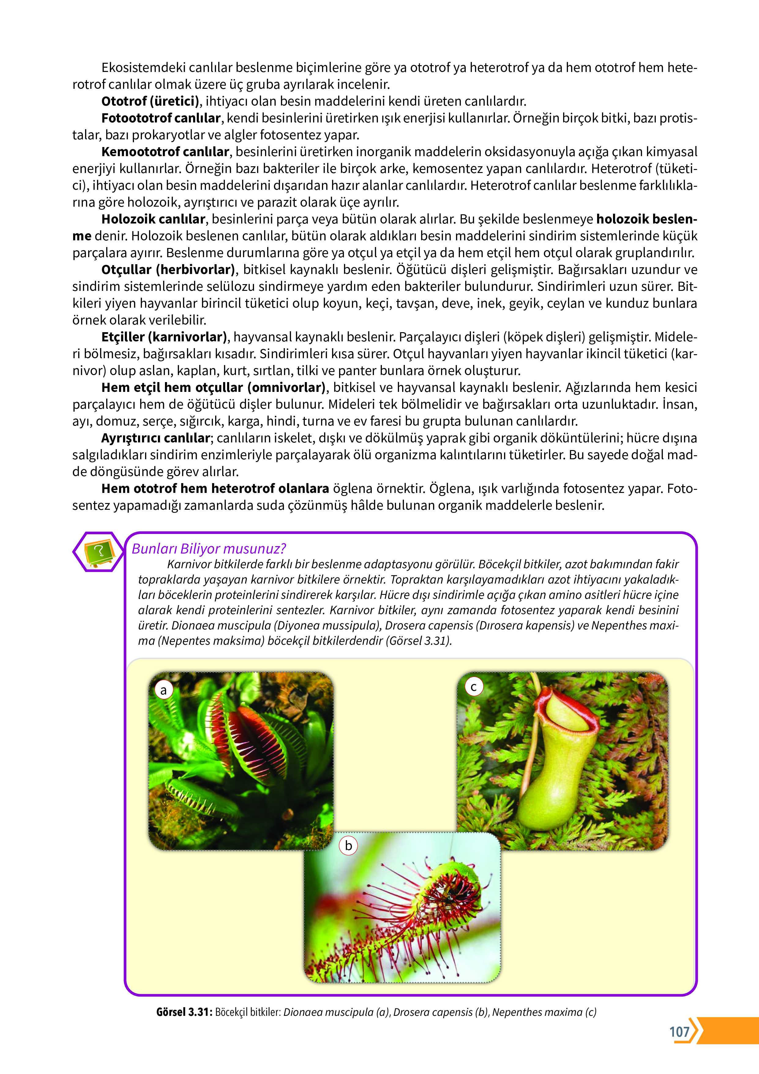 10. Sınıf Meb Yayınları Fen Lisesi Biyoloji Ders Kitabı Sayfa 107 Cevapları 10. Sınıf Meb Yayınları Fen Lisesi Biyoloji Ders Kitabı Sayfa 107 Cevapları