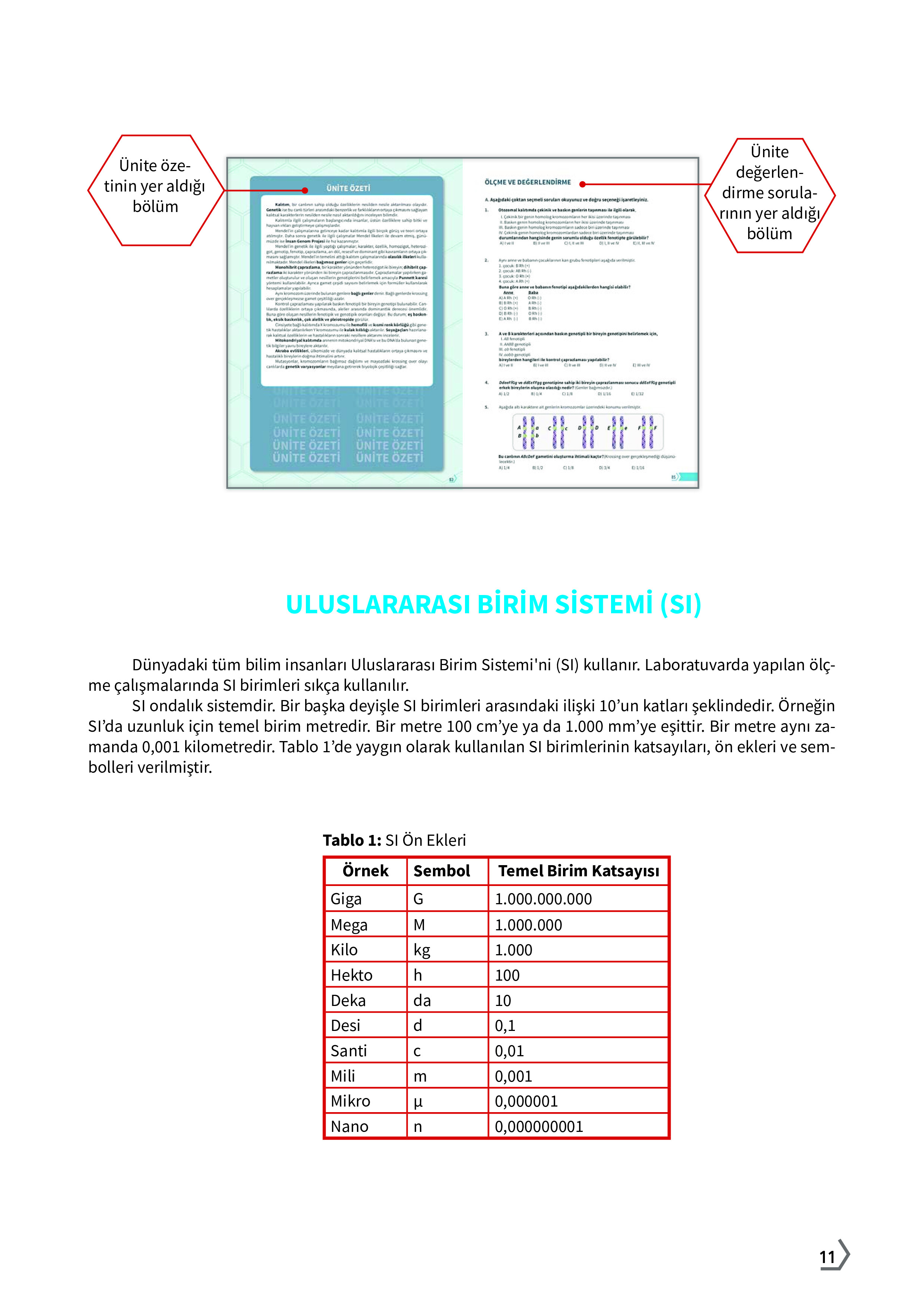 10. Sınıf Meb Yayınları Fen Lisesi Biyoloji Ders Kitabı Sayfa 11 Cevapları 10. Sınıf Meb Yayınları Fen Lisesi Biyoloji Ders Kitabı Sayfa 11 Cevapları