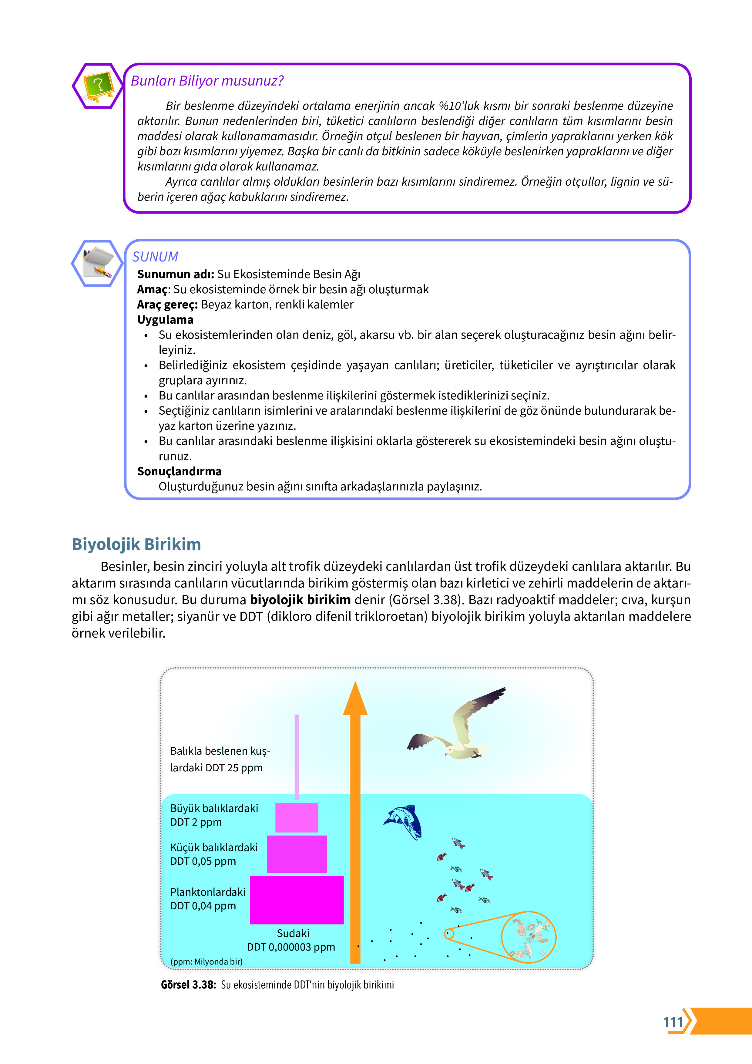 10. Sınıf Meb Yayınları Fen Lisesi Biyoloji Ders Kitabı Sayfa 111 Cevapları