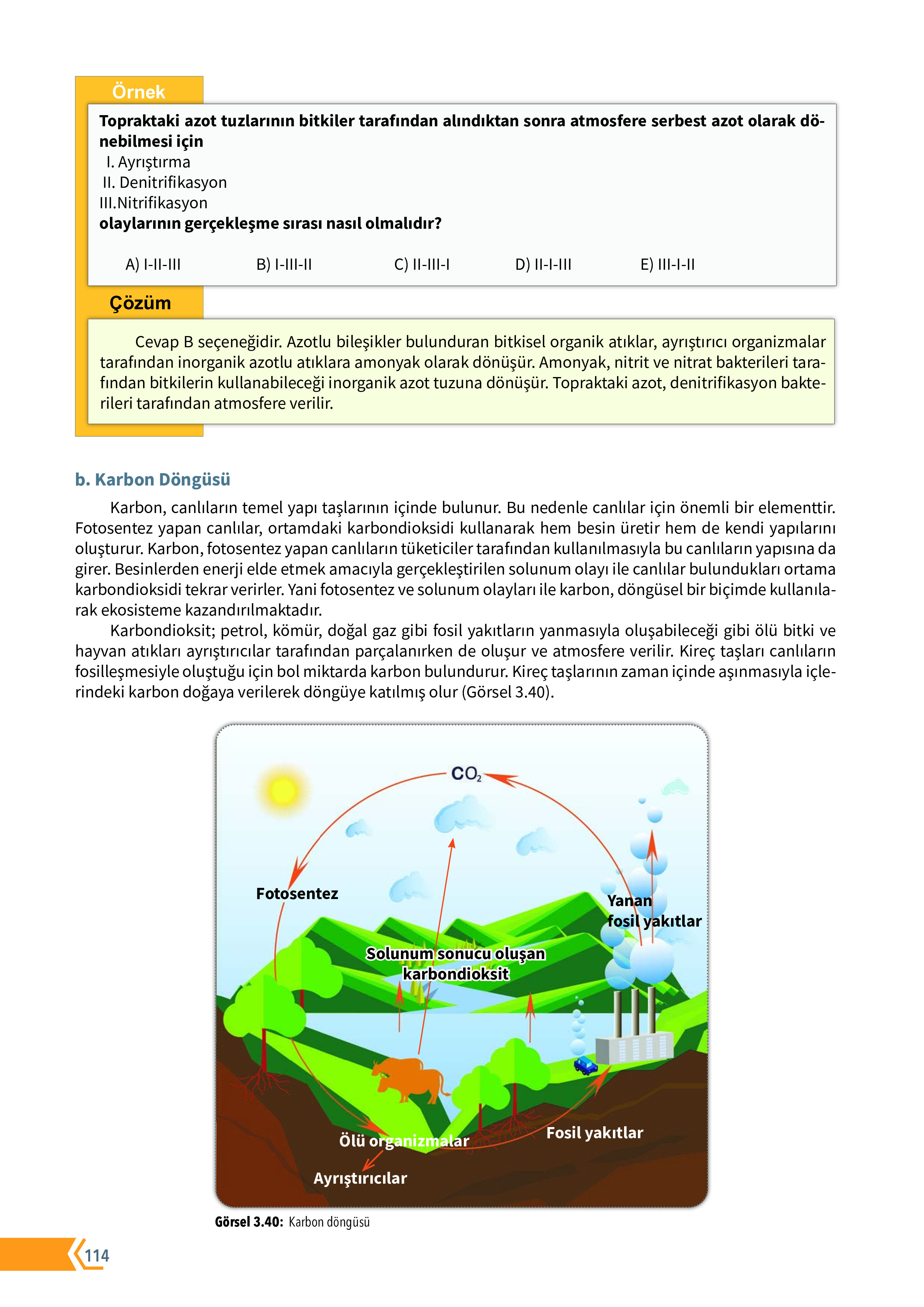 10. Sınıf Meb Yayınları Fen Lisesi Biyoloji Ders Kitabı Sayfa 114 Cevapları 10. Sınıf Meb Yayınları Fen Lisesi Biyoloji Ders Kitabı Sayfa 114 Cevapları