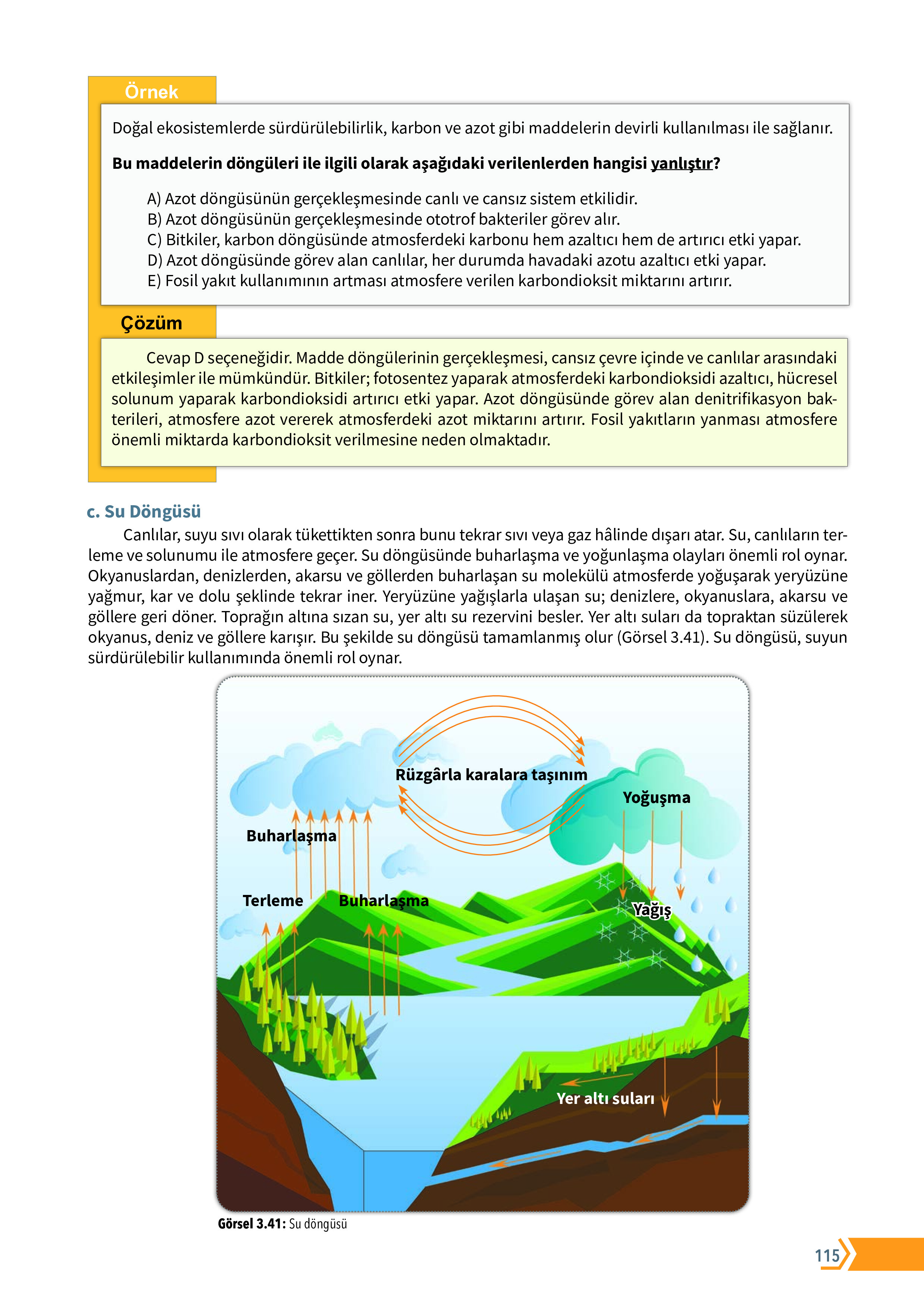10. Sınıf Meb Yayınları Fen Lisesi Biyoloji Ders Kitabı Sayfa 115 Cevapları