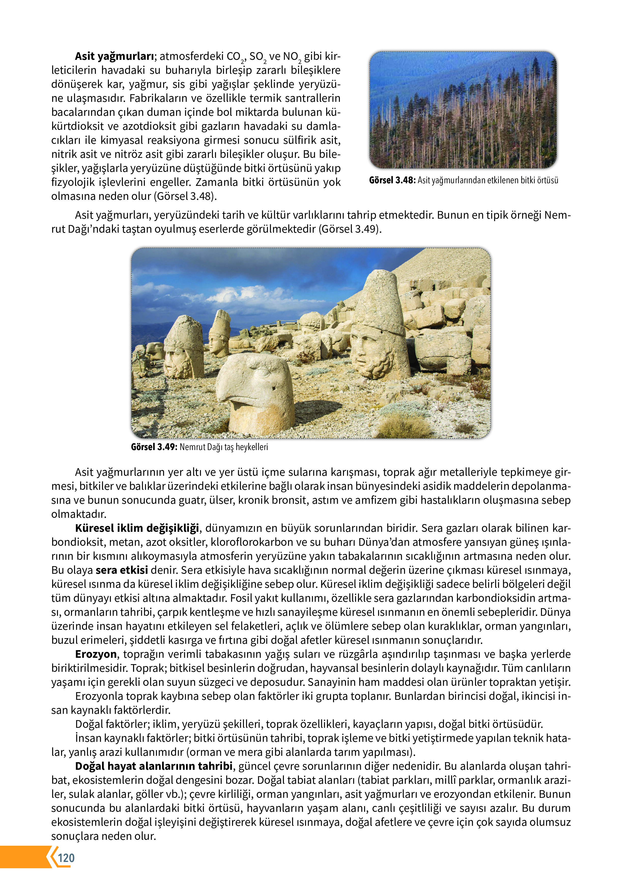 10. Sınıf Meb Yayınları Fen Lisesi Biyoloji Ders Kitabı Sayfa 120 Cevapları 10. Sınıf Meb Yayınları Fen Lisesi Biyoloji Ders Kitabı Sayfa 120 Cevapları