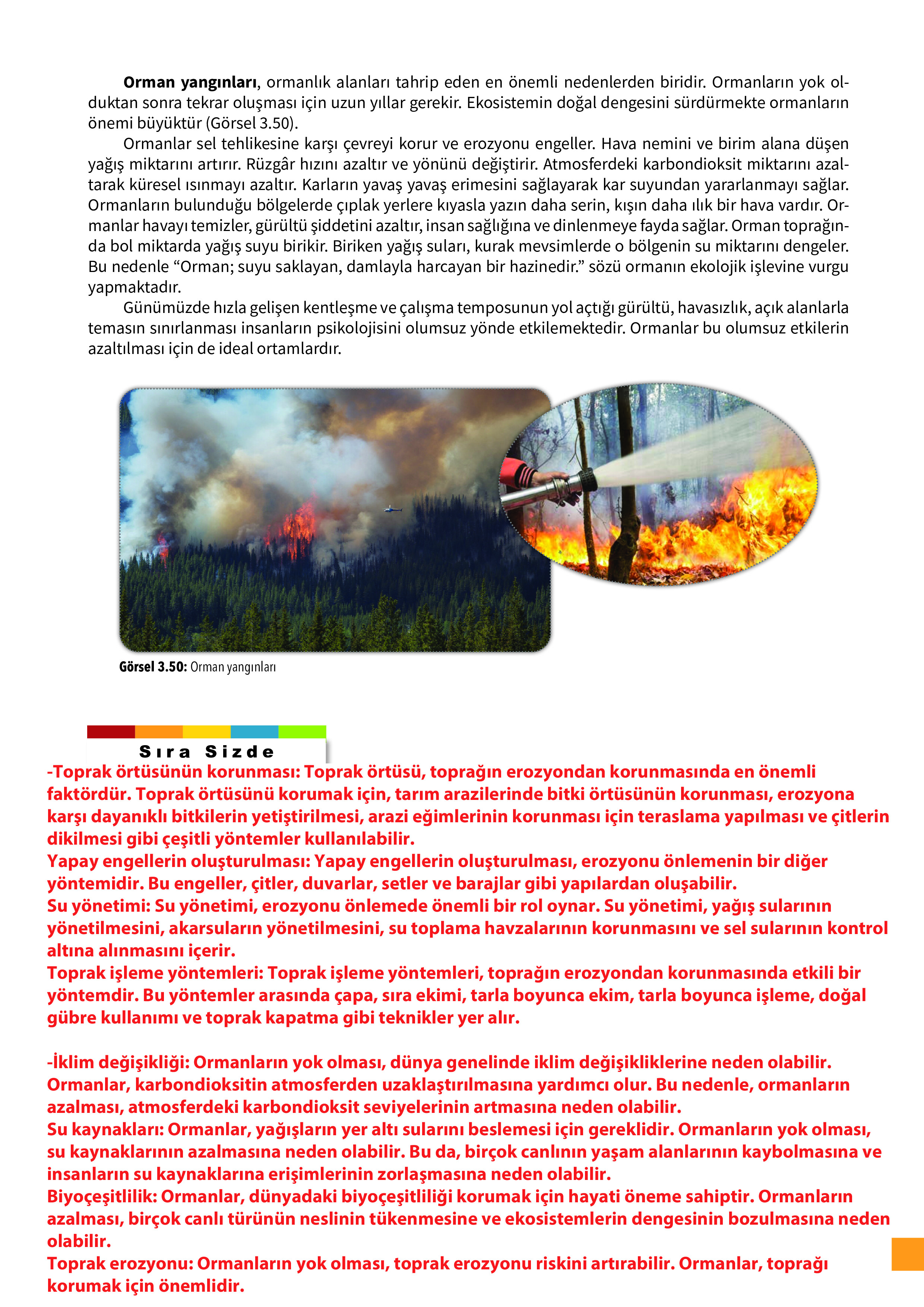 10. Sınıf Meb Yayınları Fen Lisesi Biyoloji Ders Kitabı Sayfa 121 Cevapları