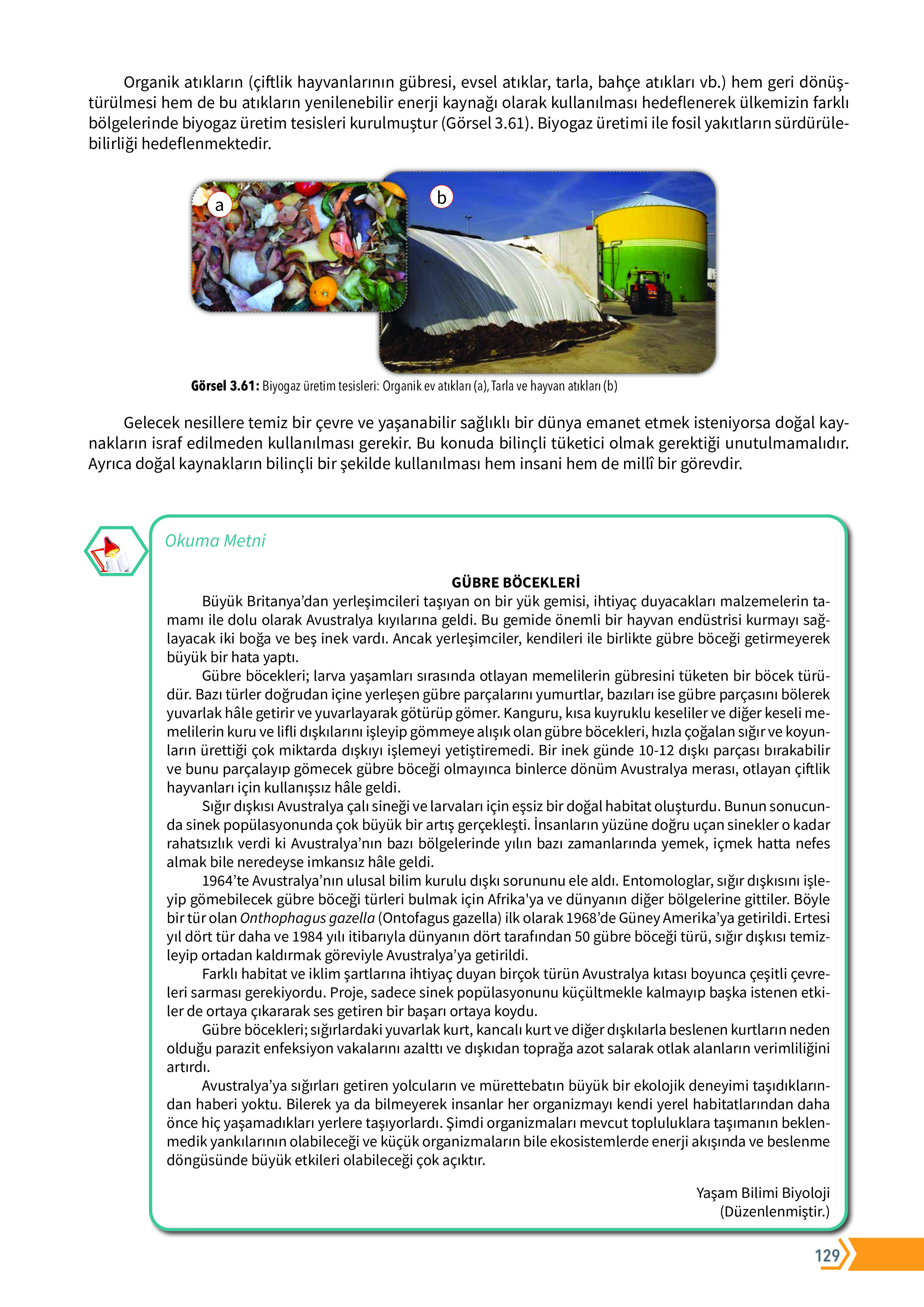 10. Sınıf Meb Yayınları Fen Lisesi Biyoloji Ders Kitabı Sayfa 129 Cevapları