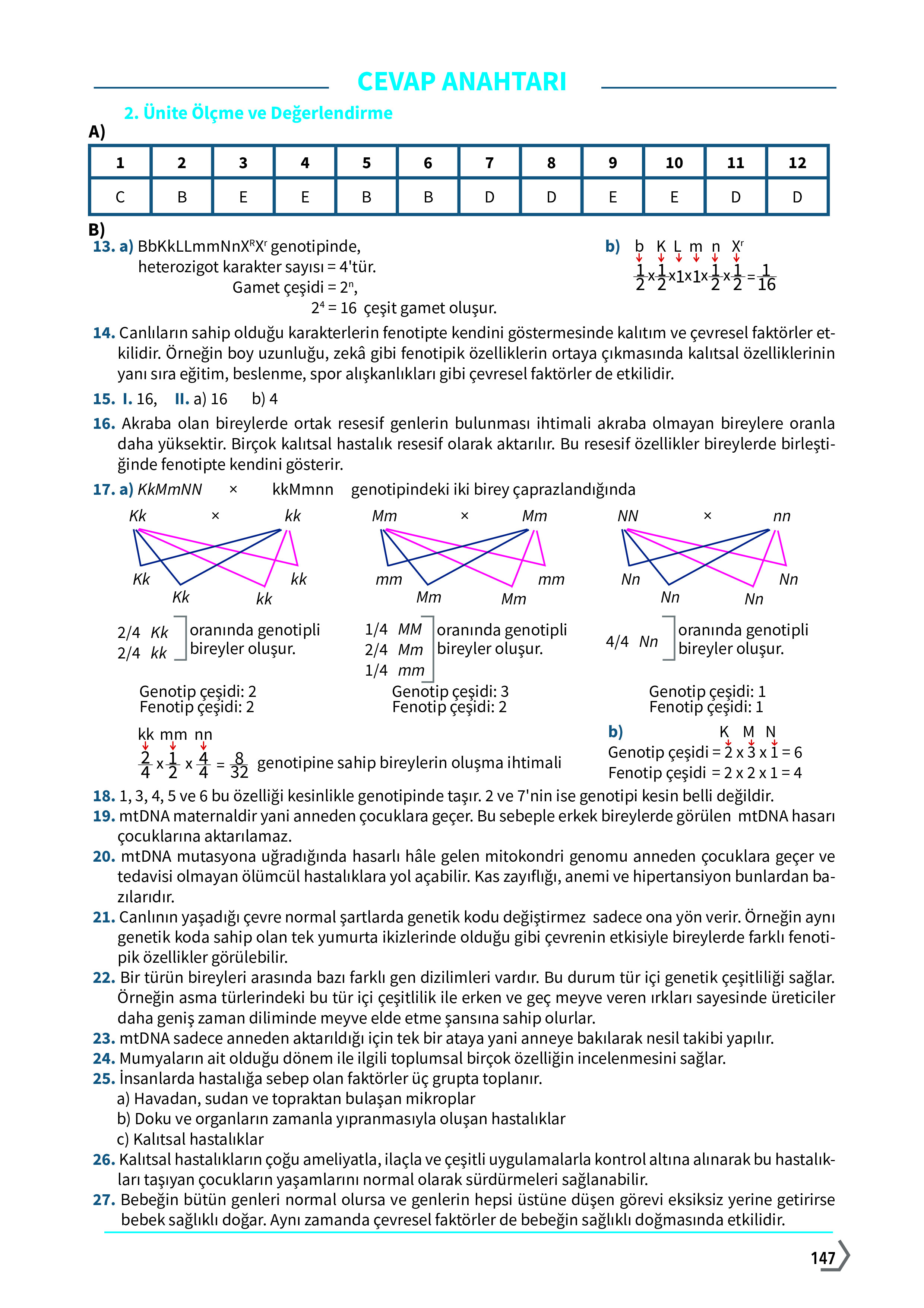10. Sınıf Meb Yayınları Fen Lisesi Biyoloji Ders Kitabı Sayfa 147 Cevapları