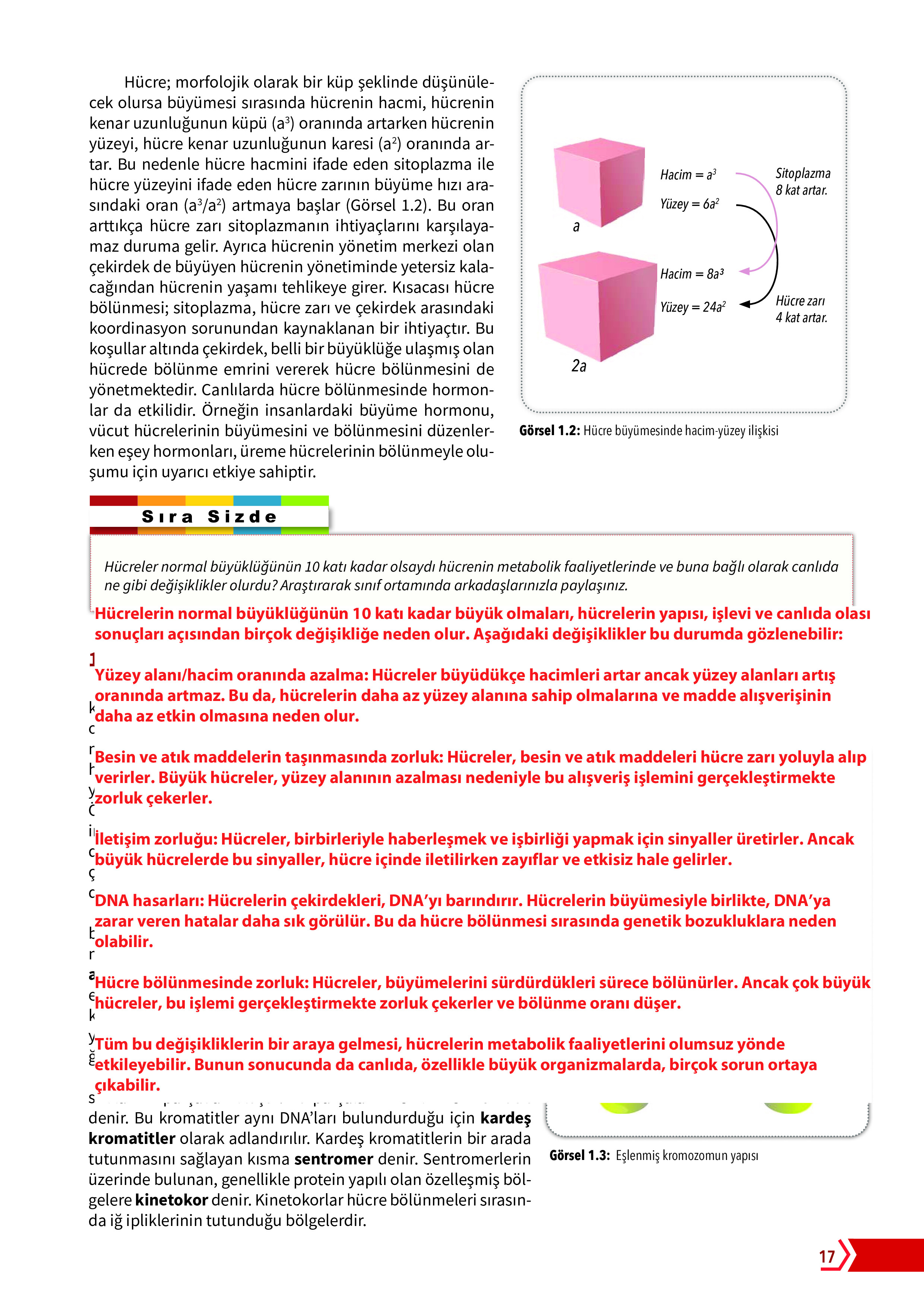 10. Sınıf Meb Yayınları Fen Lisesi Biyoloji Ders Kitabı Sayfa 17 Cevapları 10. Sınıf Meb Yayınları Fen Lisesi Biyoloji Ders Kitabı Sayfa 17 Cevapları