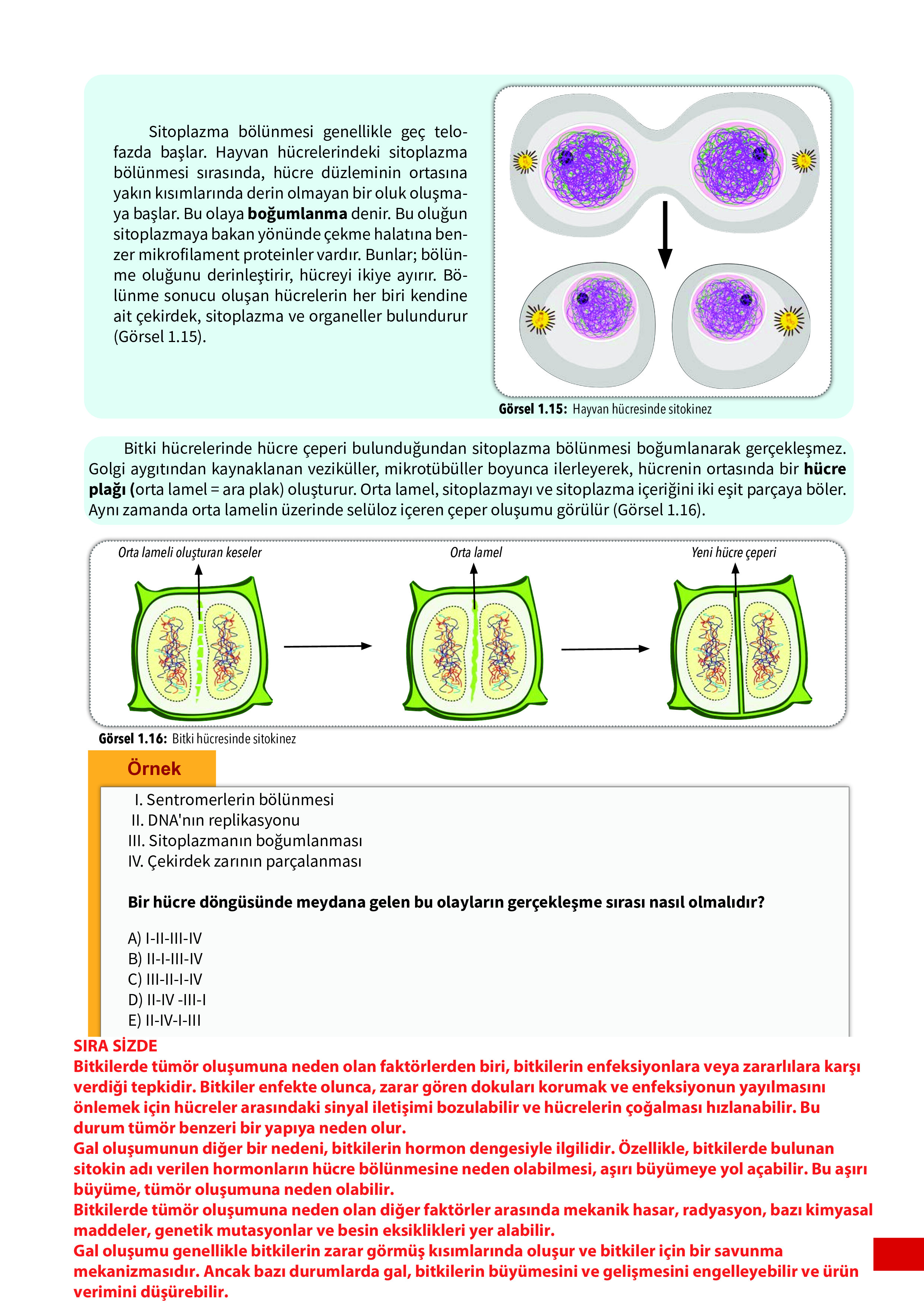 10. Sınıf Meb Yayınları Fen Lisesi Biyoloji Ders Kitabı Sayfa 21 Cevapları