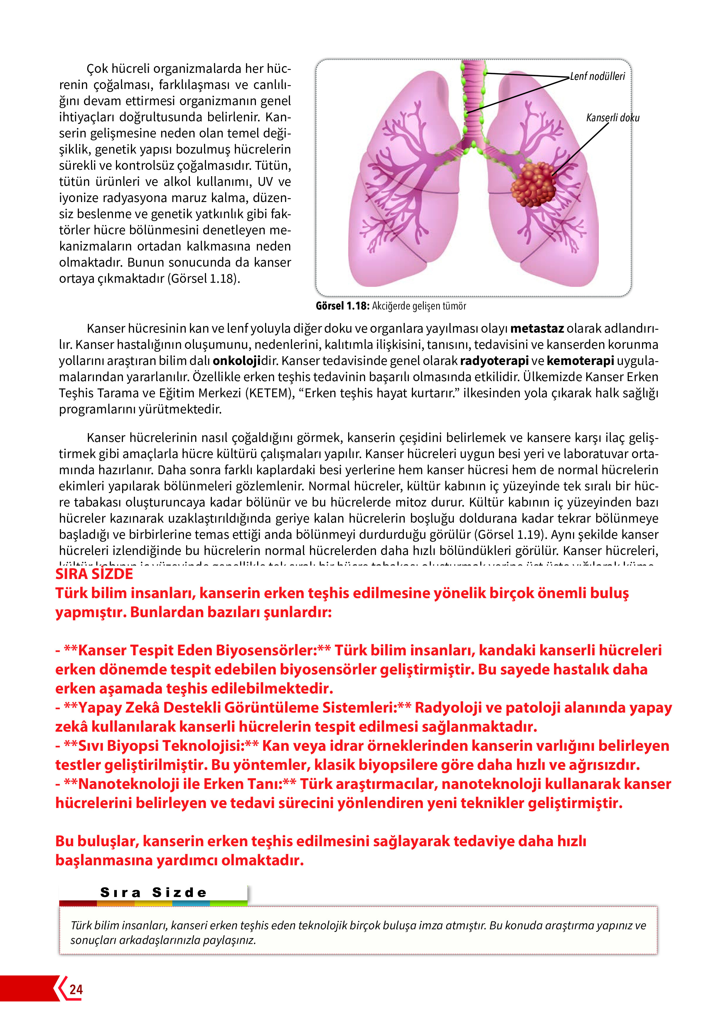 10. Sınıf Meb Yayınları Fen Lisesi Biyoloji Ders Kitabı Sayfa 24 Cevapları