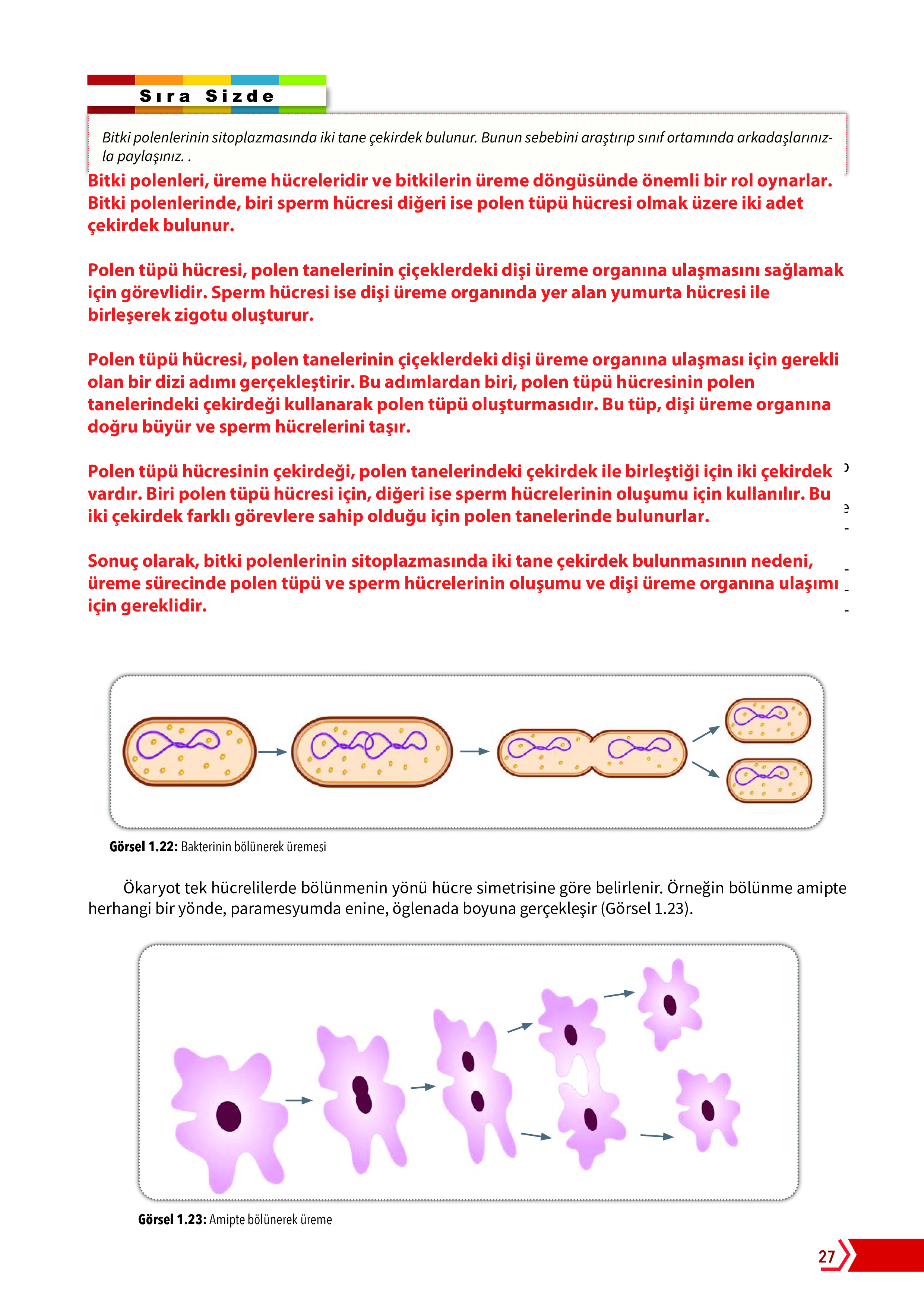 10. Sınıf Meb Yayınları Fen Lisesi Biyoloji Ders Kitabı Sayfa 27 Cevapları