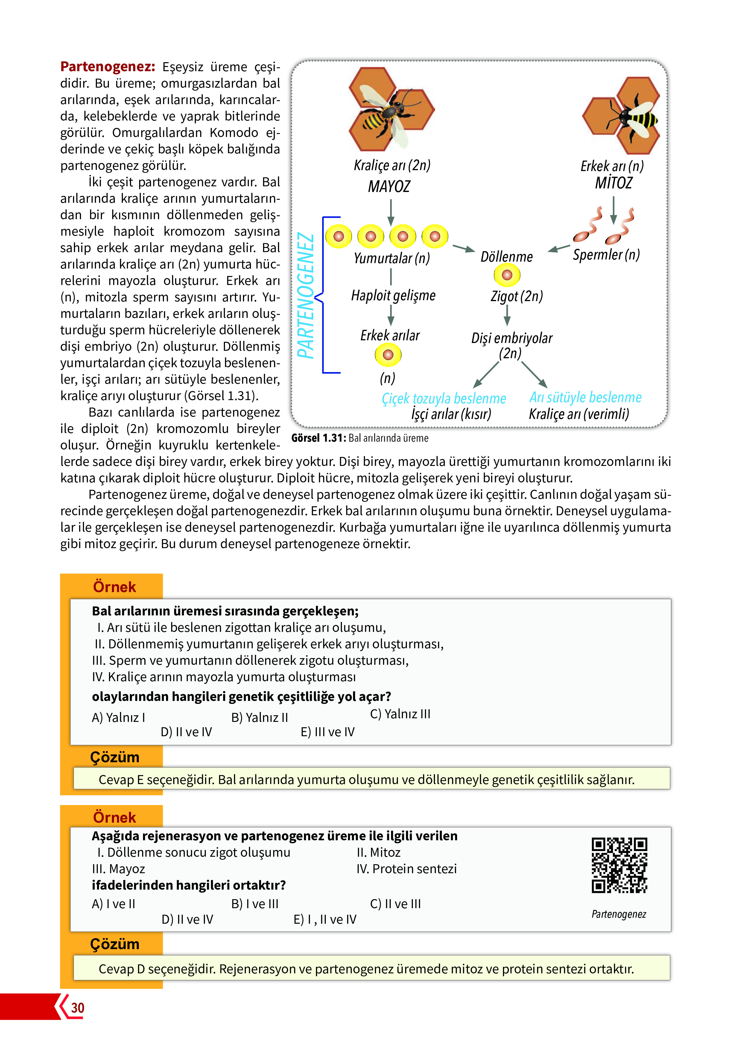 10. Sınıf Meb Yayınları Fen Lisesi Biyoloji Ders Kitabı Sayfa 30 Cevapları 10. Sınıf Meb Yayınları Fen Lisesi Biyoloji Ders Kitabı Sayfa 30 Cevapları