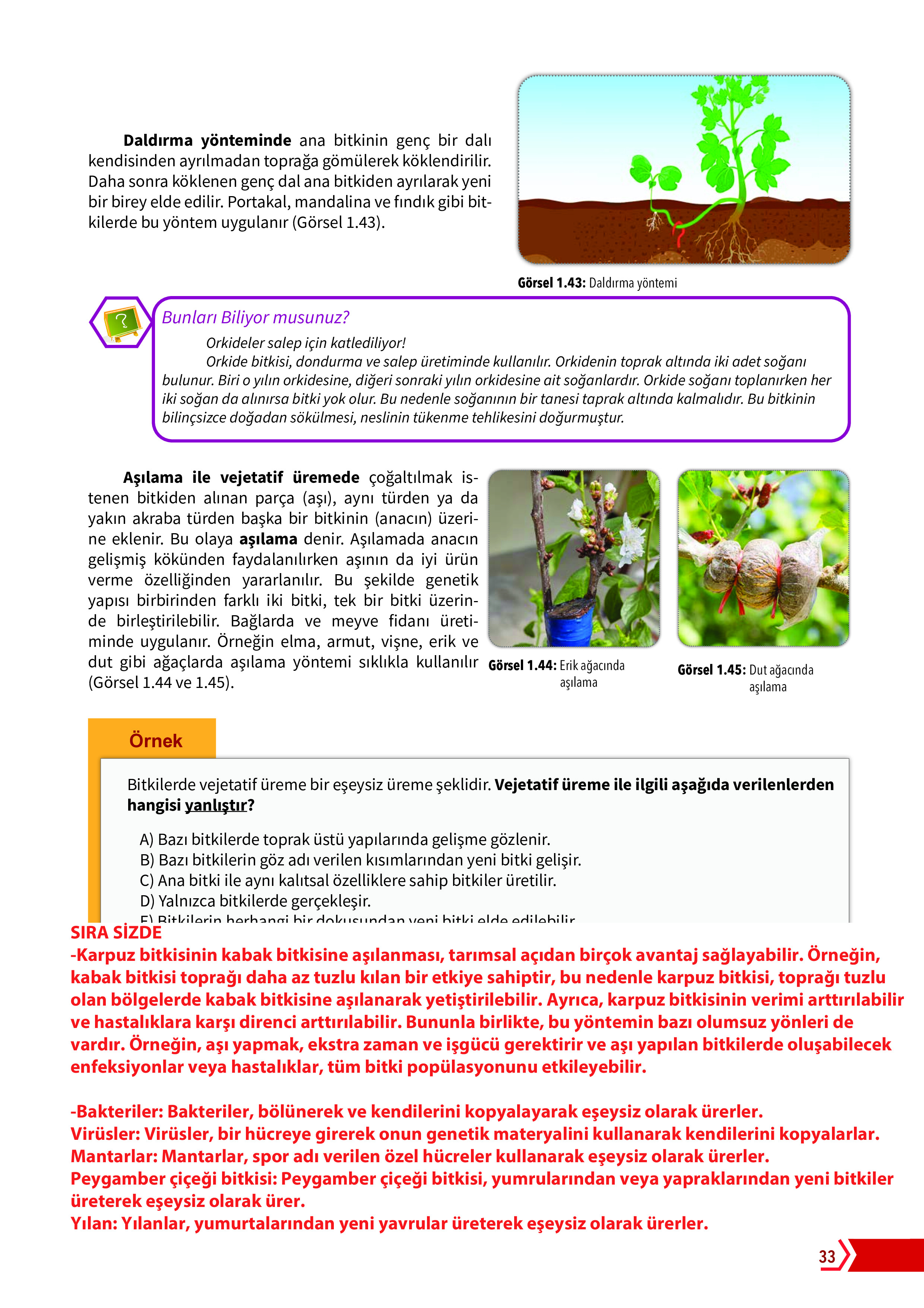 10. Sınıf Meb Yayınları Fen Lisesi Biyoloji Ders Kitabı Sayfa 33 Cevapları