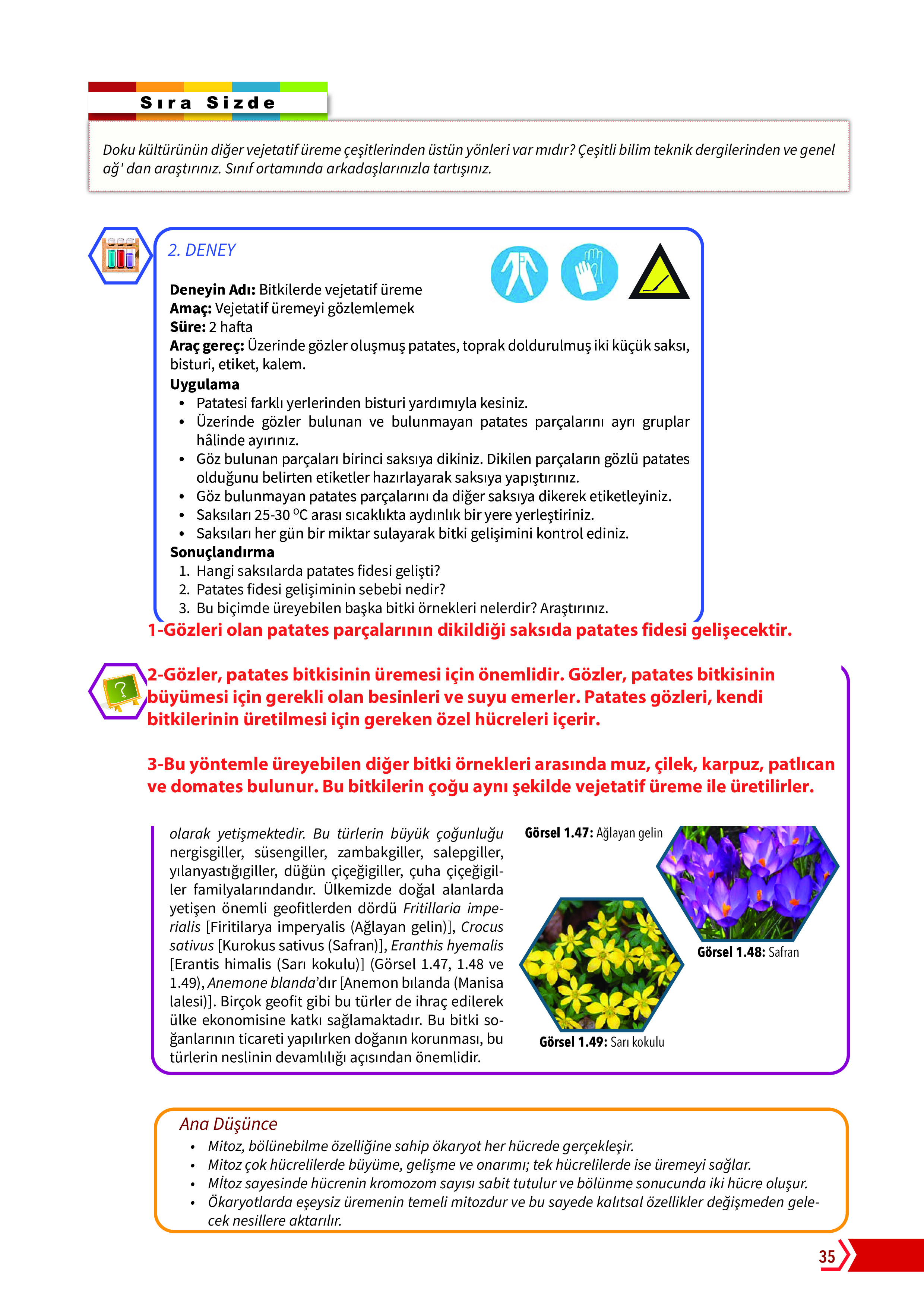 10. Sınıf Meb Yayınları Fen Lisesi Biyoloji Ders Kitabı Sayfa 35 Cevapları 10. Sınıf Meb Yayınları Fen Lisesi Biyoloji Ders Kitabı Sayfa 35 Cevapları