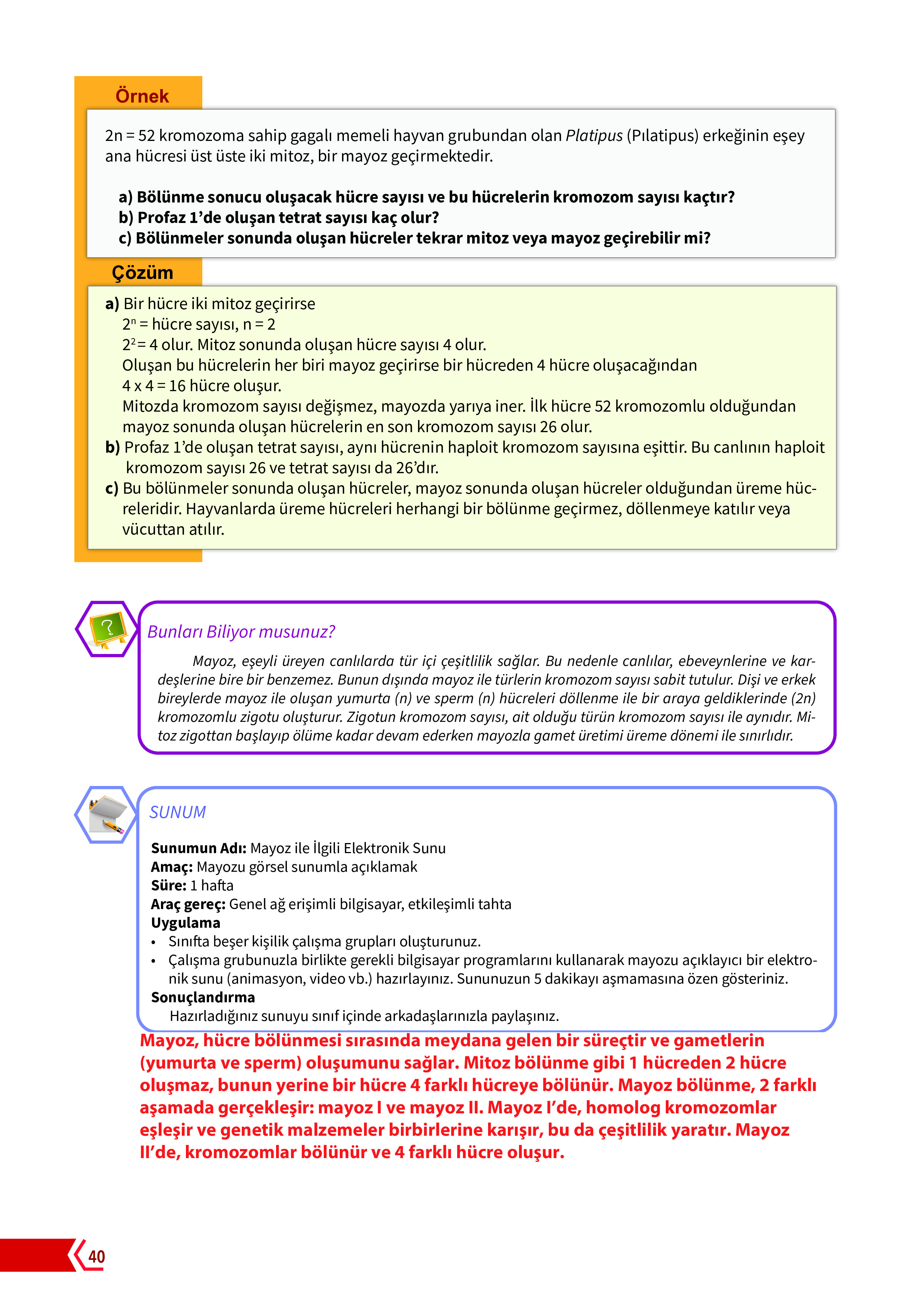 10. Sınıf Meb Yayınları Fen Lisesi Biyoloji Ders Kitabı Sayfa 40 Cevapları