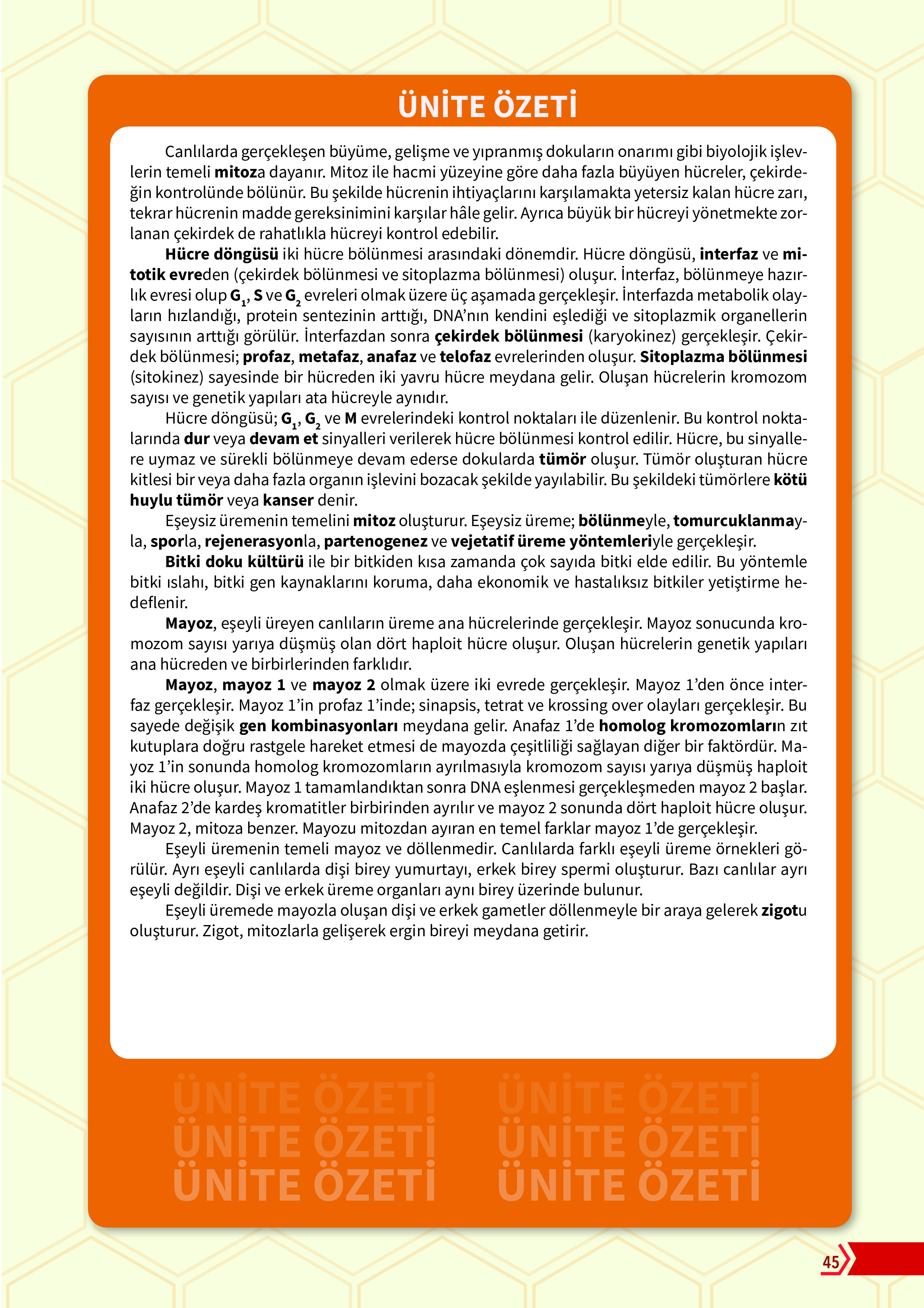 10. Sınıf Meb Yayınları Fen Lisesi Biyoloji Ders Kitabı Sayfa 45 Cevapları 10. Sınıf Meb Yayınları Fen Lisesi Biyoloji Ders Kitabı Sayfa 45 Cevapları