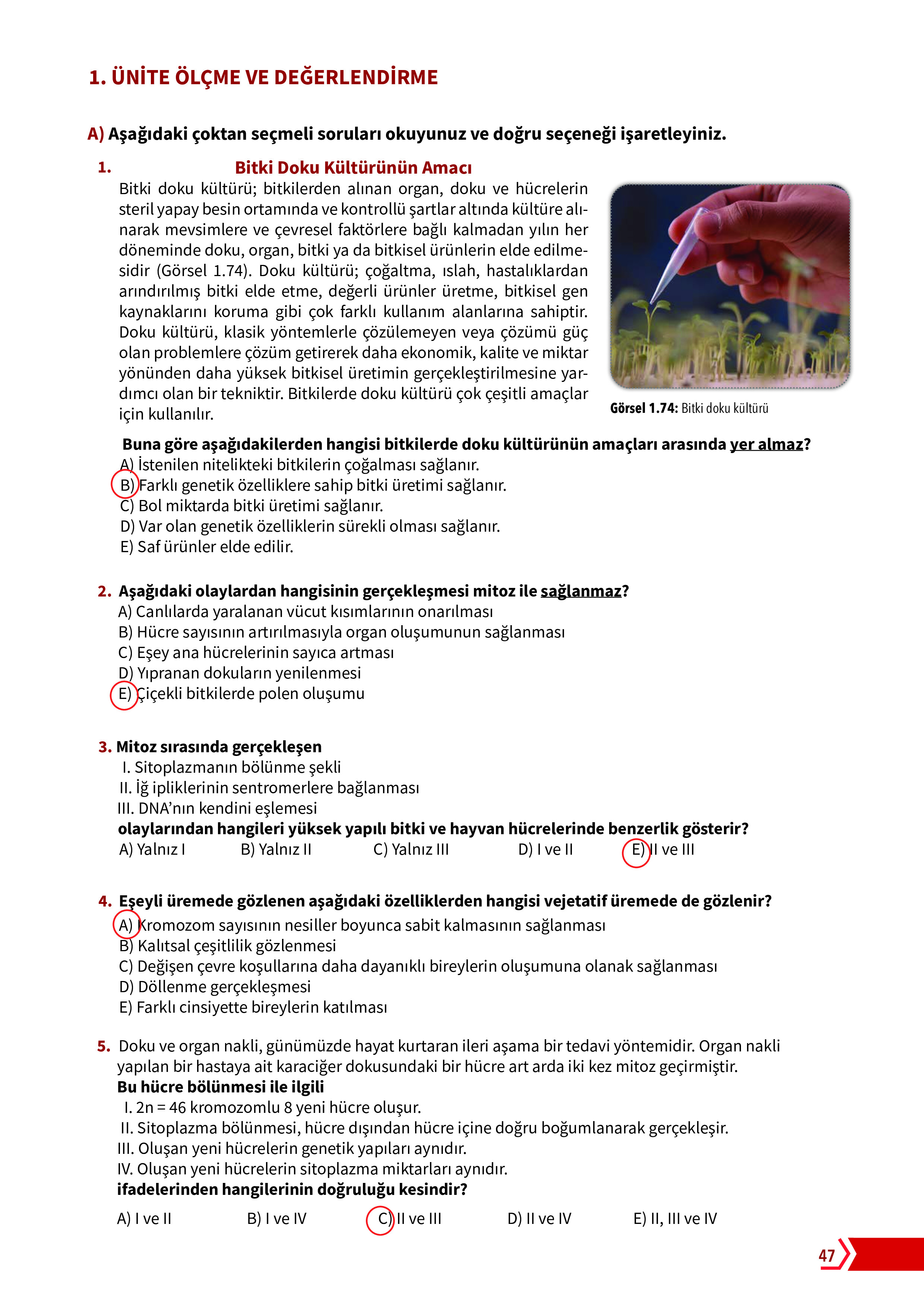 10. Sınıf Meb Yayınları Fen Lisesi Biyoloji Ders Kitabı Sayfa 47 Cevapları 10. Sınıf Meb Yayınları Fen Lisesi Biyoloji Ders Kitabı Sayfa 47 Cevapları