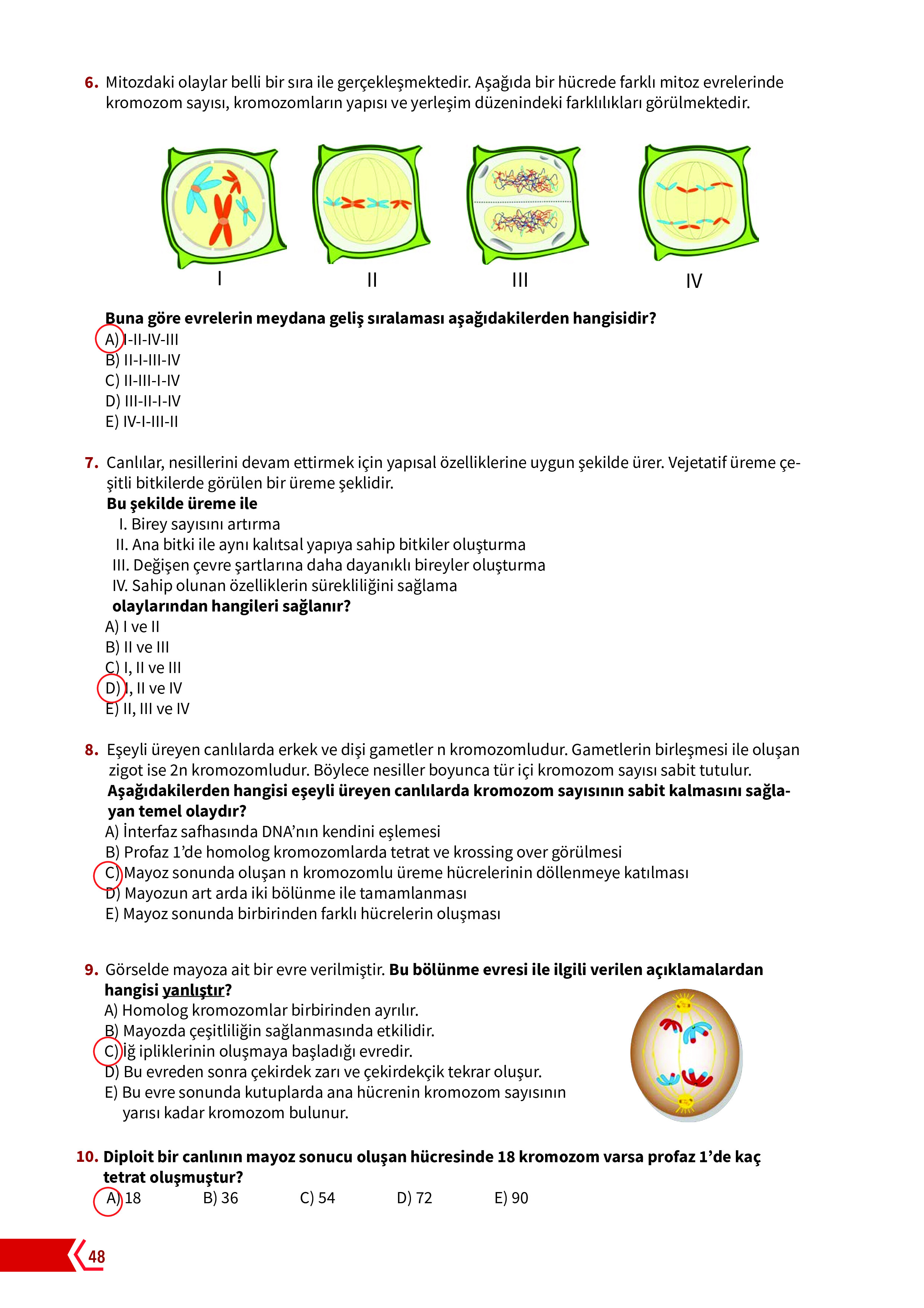 10. Sınıf Meb Yayınları Fen Lisesi Biyoloji Ders Kitabı Sayfa 48 Cevapları 10. Sınıf Meb Yayınları Fen Lisesi Biyoloji Ders Kitabı Sayfa 48 Cevapları