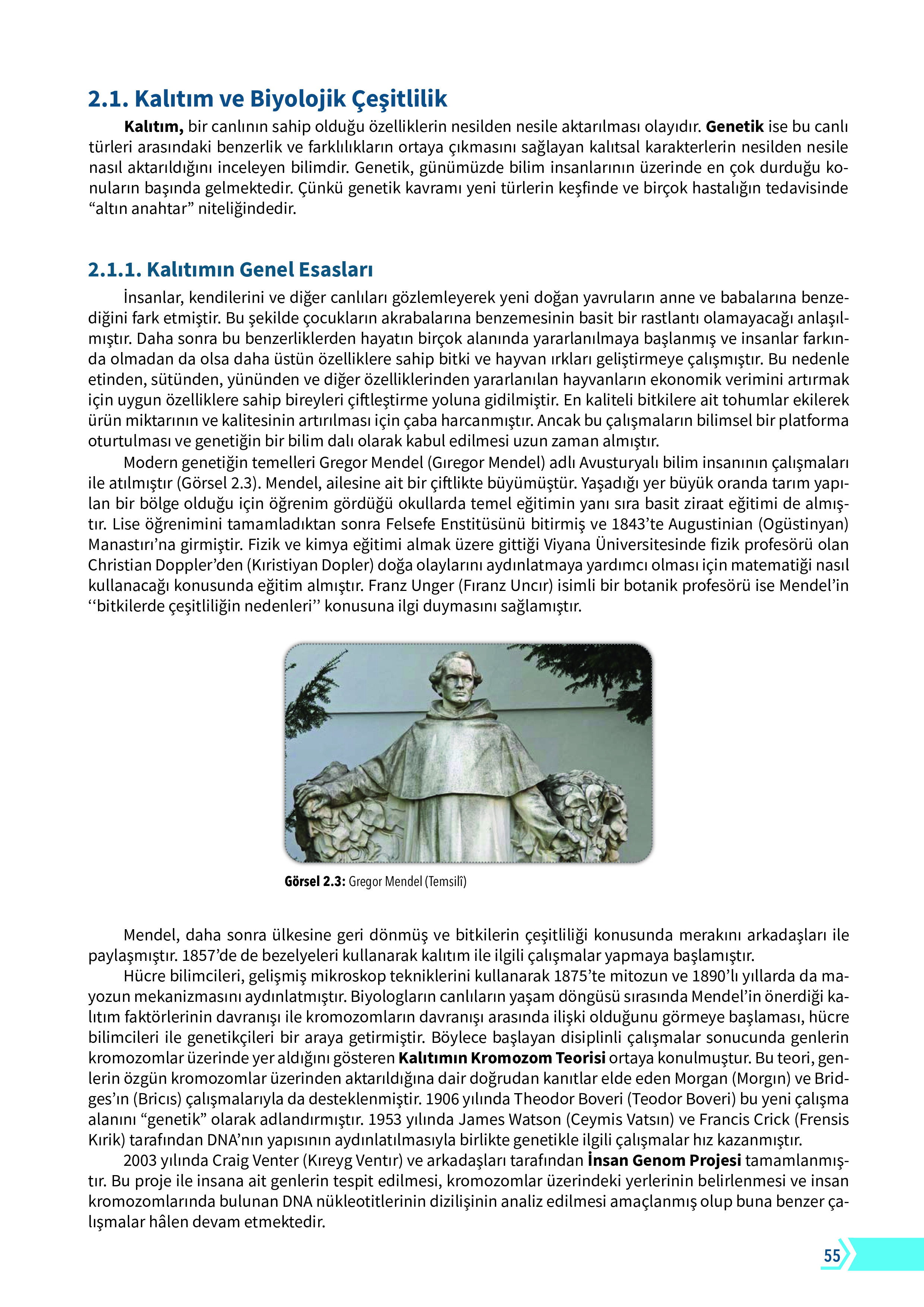 10. Sınıf Meb Yayınları Fen Lisesi Biyoloji Ders Kitabı Sayfa 55 Cevapları 10. Sınıf Meb Yayınları Fen Lisesi Biyoloji Ders Kitabı Sayfa 55 Cevapları