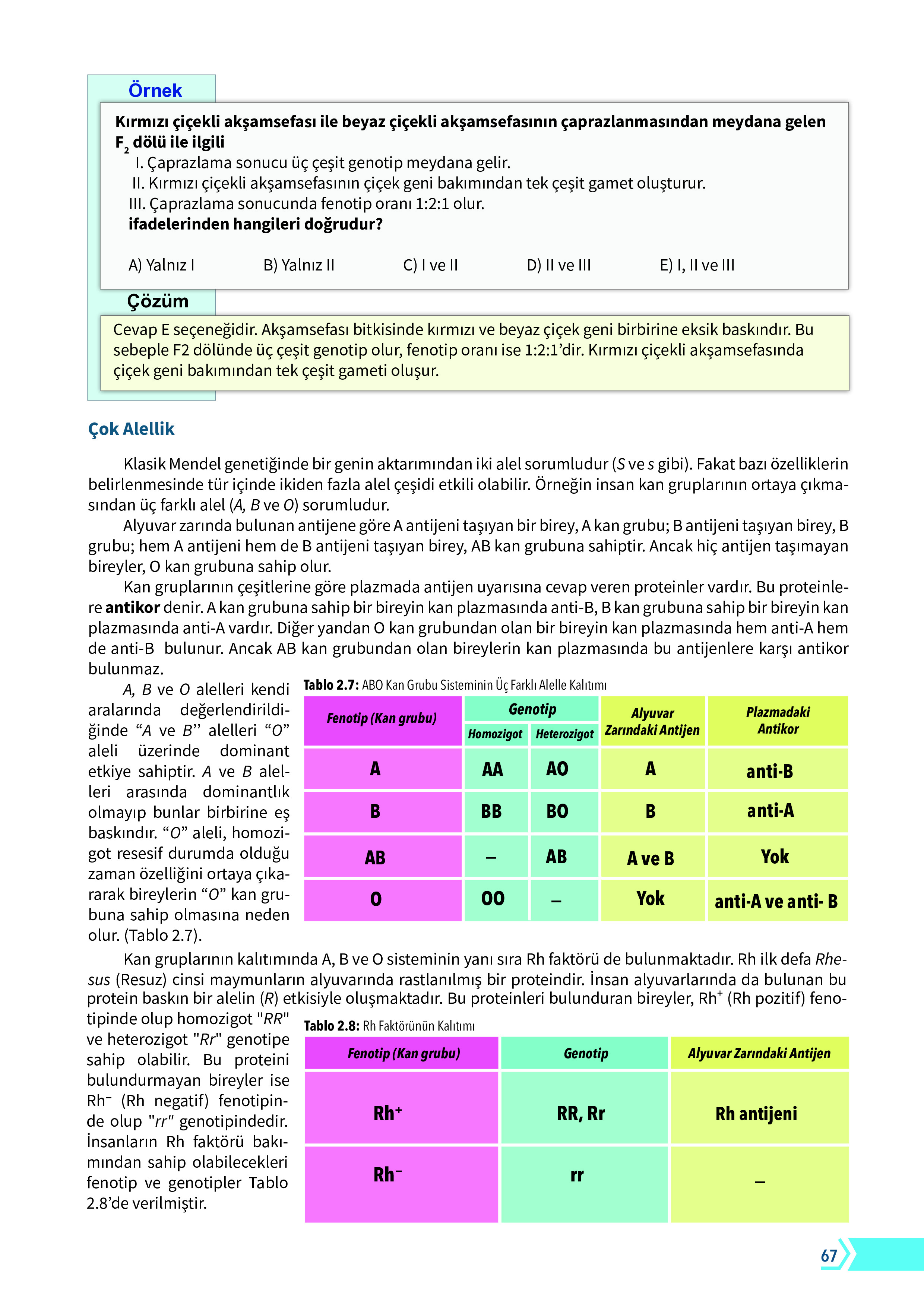 10. Sınıf Meb Yayınları Fen Lisesi Biyoloji Ders Kitabı Sayfa 67 Cevapları 10. Sınıf Meb Yayınları Fen Lisesi Biyoloji Ders Kitabı Sayfa 67 Cevapları