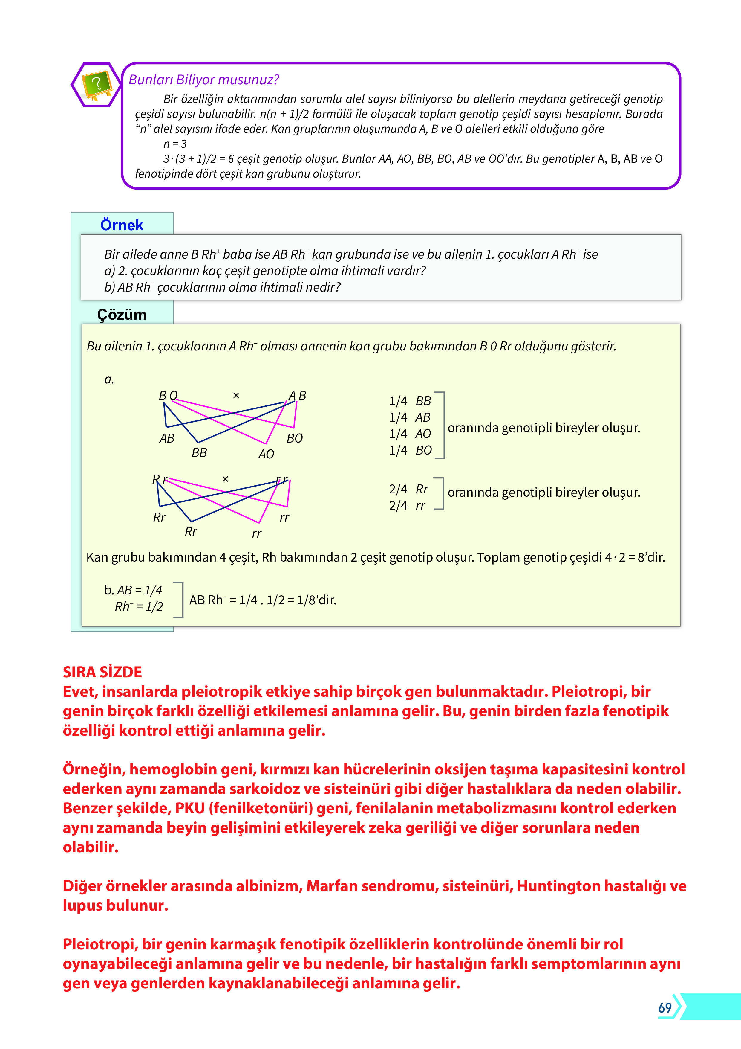 10. Sınıf Meb Yayınları Fen Lisesi Biyoloji Ders Kitabı Sayfa 69 Cevapları 10. Sınıf Meb Yayınları Fen Lisesi Biyoloji Ders Kitabı Sayfa 69 Cevapları