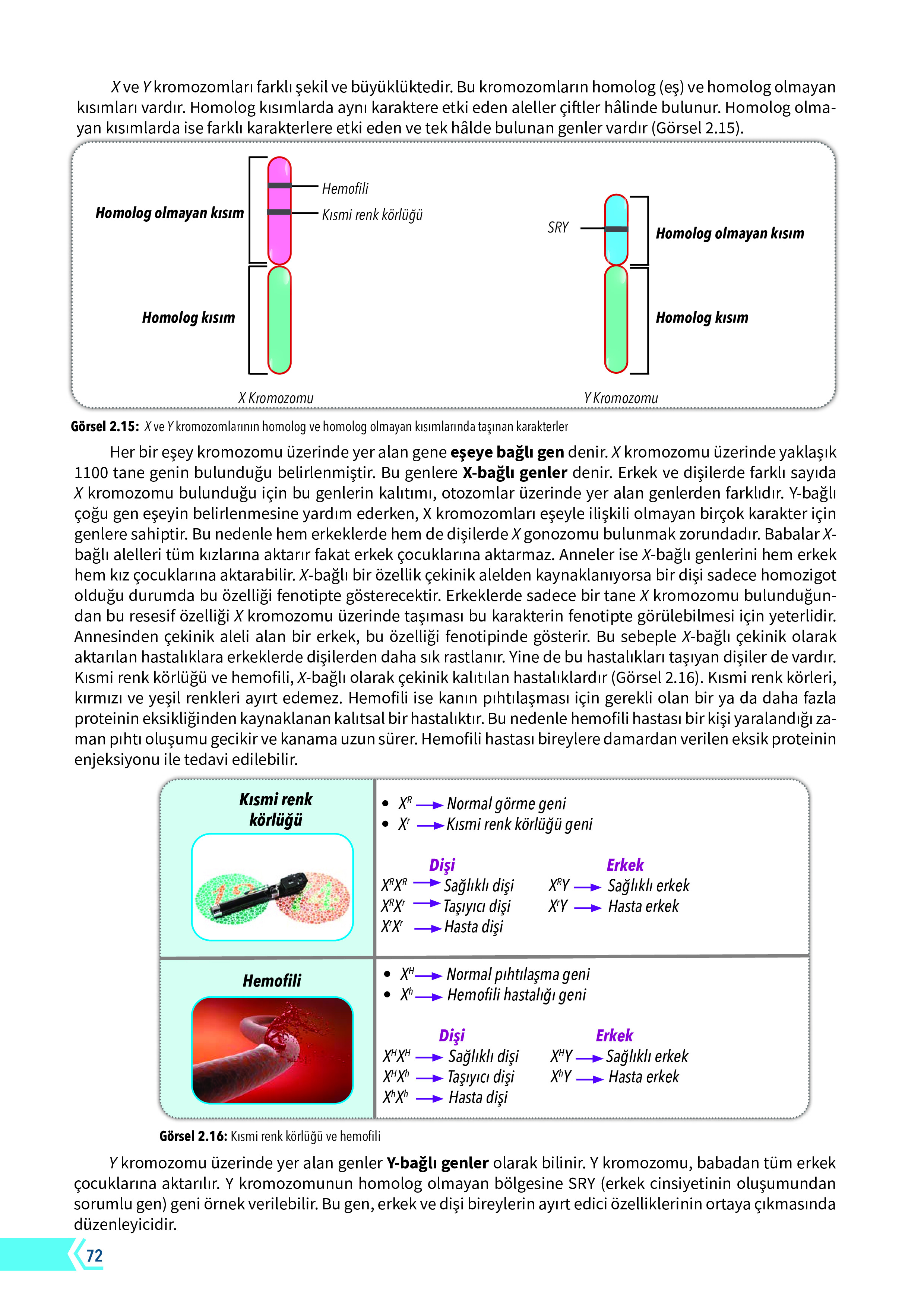 10. Sınıf Meb Yayınları Fen Lisesi Biyoloji Ders Kitabı Sayfa 72 Cevapları 10. Sınıf Meb Yayınları Fen Lisesi Biyoloji Ders Kitabı Sayfa 72 Cevapları