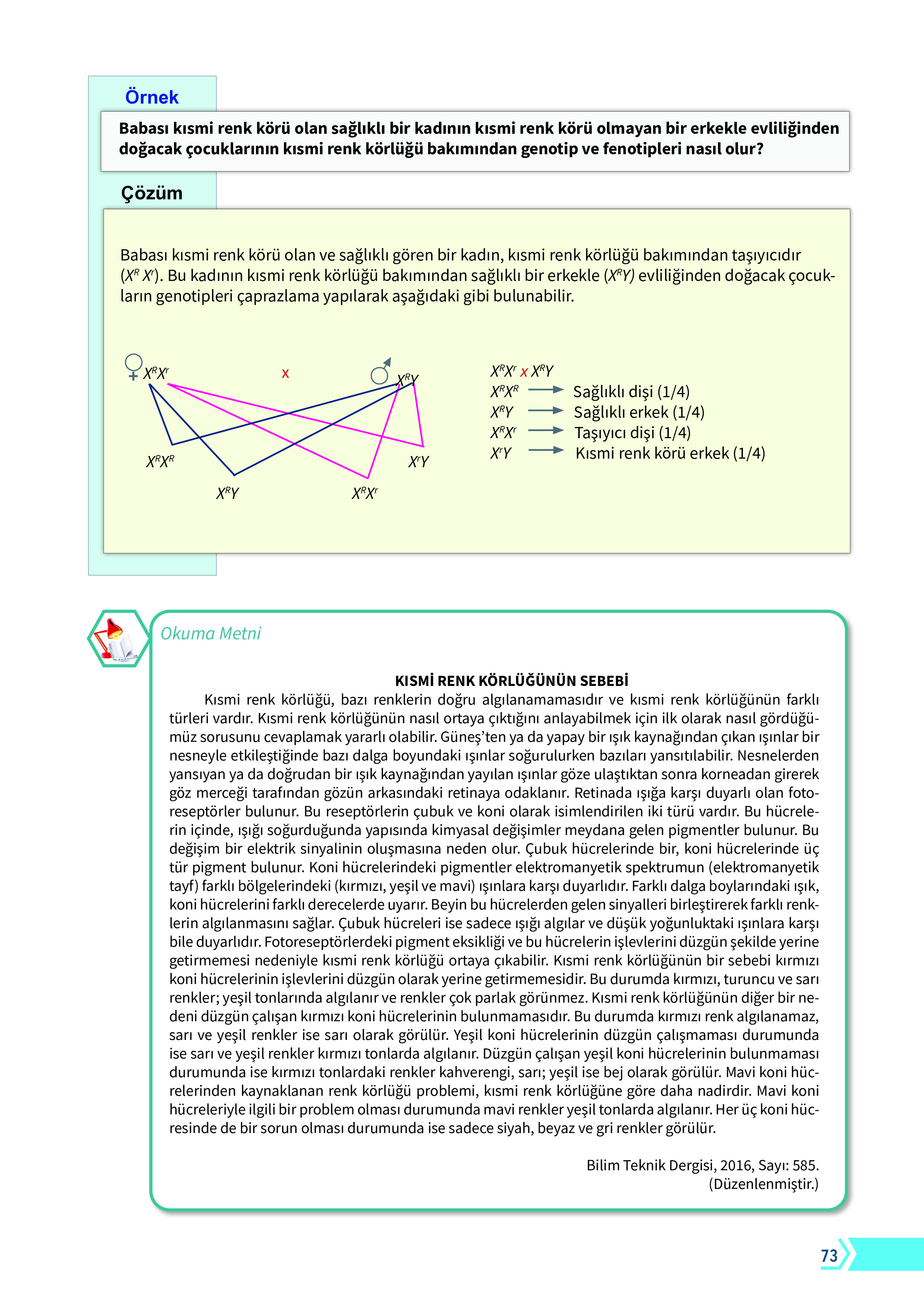 10. Sınıf Meb Yayınları Fen Lisesi Biyoloji Ders Kitabı Sayfa 73 Cevapları 10. Sınıf Meb Yayınları Fen Lisesi Biyoloji Ders Kitabı Sayfa 73 Cevapları