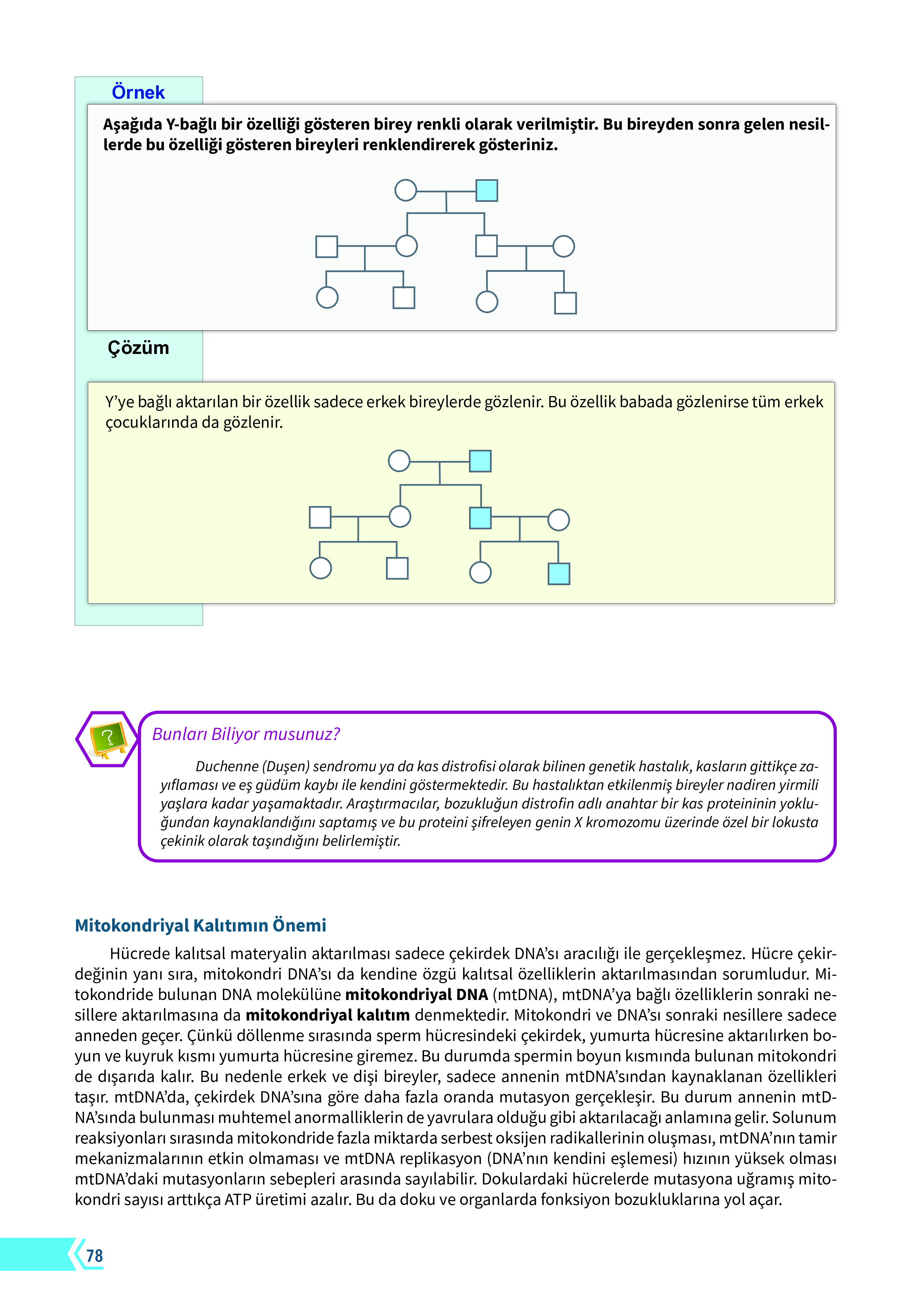 10. Sınıf Meb Yayınları Fen Lisesi Biyoloji Ders Kitabı Sayfa 78 Cevapları 10. Sınıf Meb Yayınları Fen Lisesi Biyoloji Ders Kitabı Sayfa 78 Cevapları