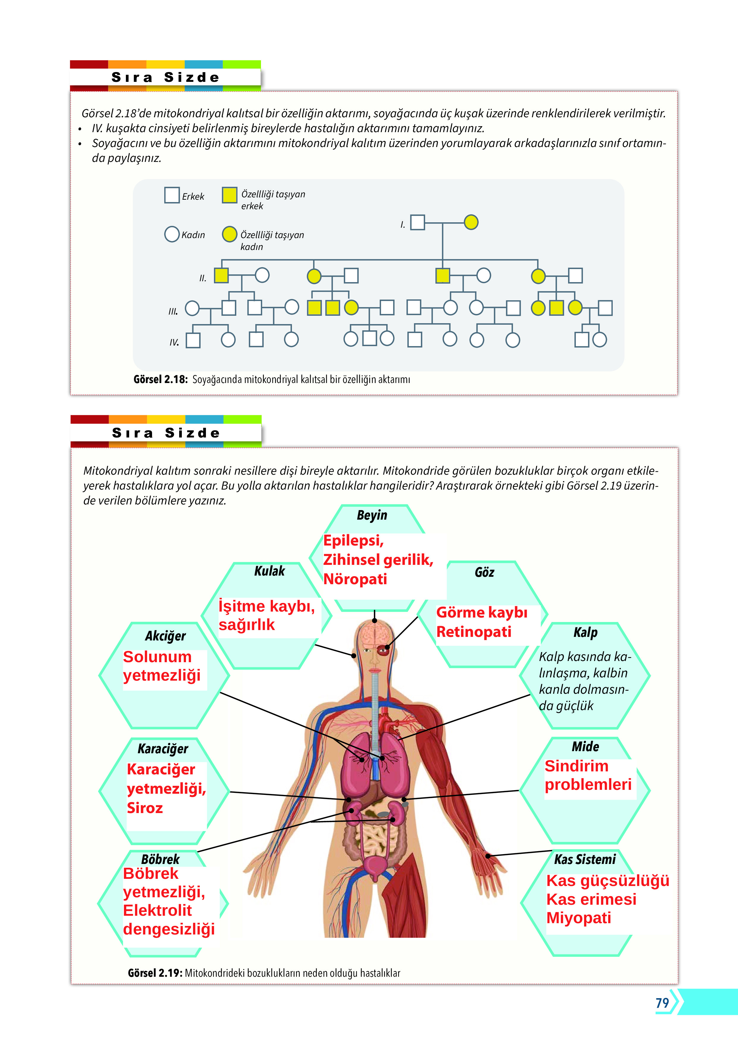 10. Sınıf Meb Yayınları Fen Lisesi Biyoloji Ders Kitabı Sayfa 79 Cevapları 10. Sınıf Meb Yayınları Fen Lisesi Biyoloji Ders Kitabı Sayfa 79 Cevapları