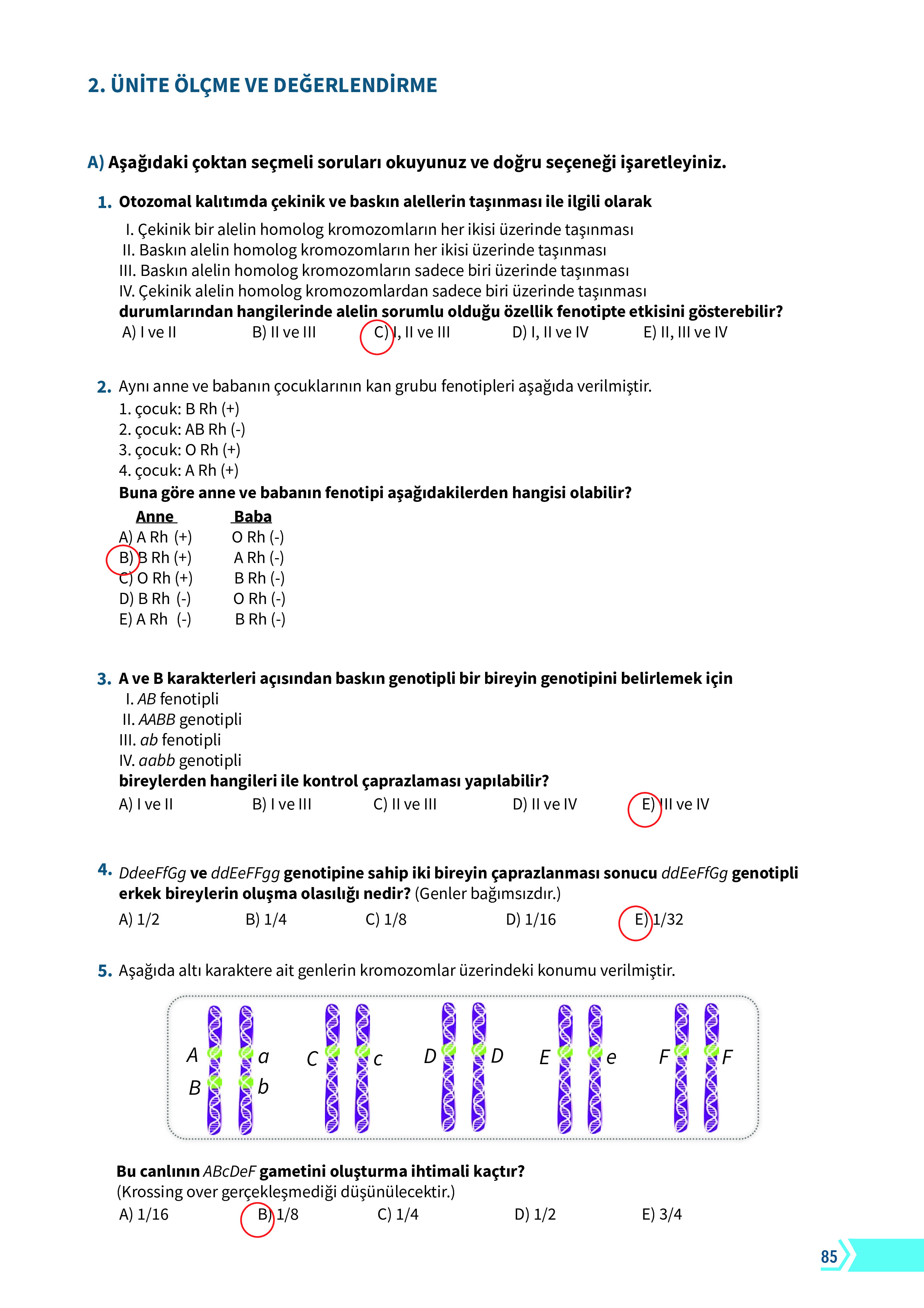 10. Sınıf Meb Yayınları Fen Lisesi Biyoloji Ders Kitabı Sayfa 85 Cevapları