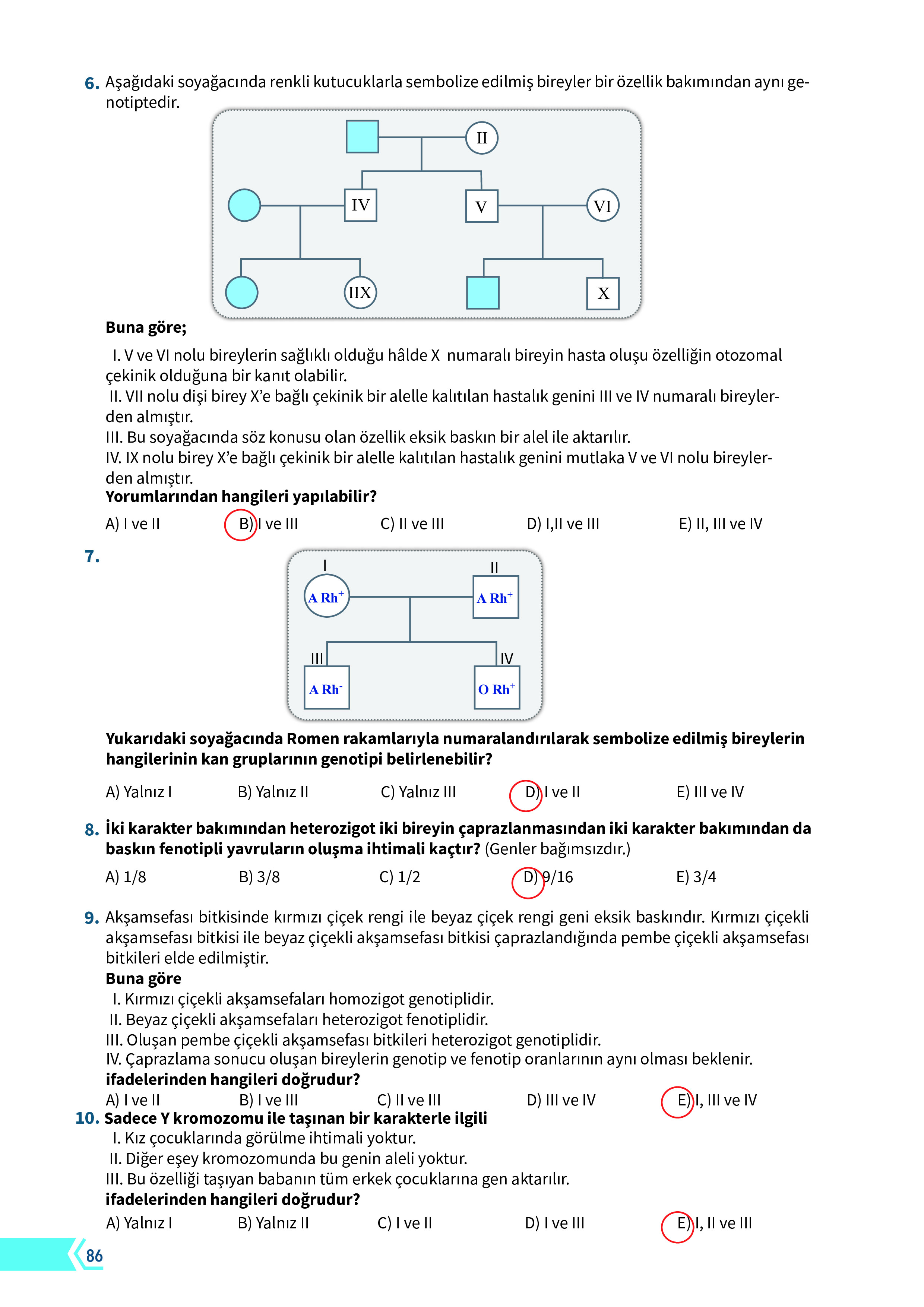 10. Sınıf Meb Yayınları Fen Lisesi Biyoloji Ders Kitabı Sayfa 86 Cevapları