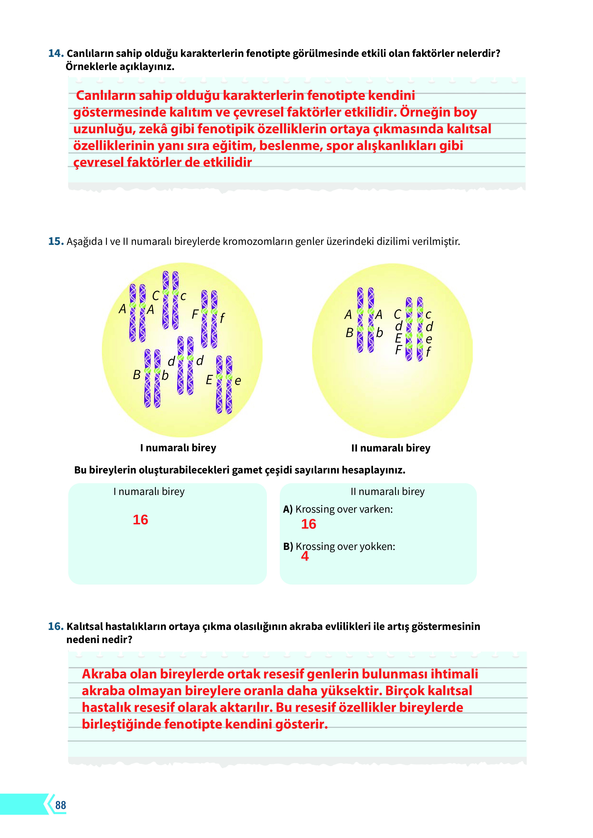 10. Sınıf Meb Yayınları Fen Lisesi Biyoloji Ders Kitabı Sayfa 88 Cevapları 10. Sınıf Meb Yayınları Fen Lisesi Biyoloji Ders Kitabı Sayfa 88 Cevapları