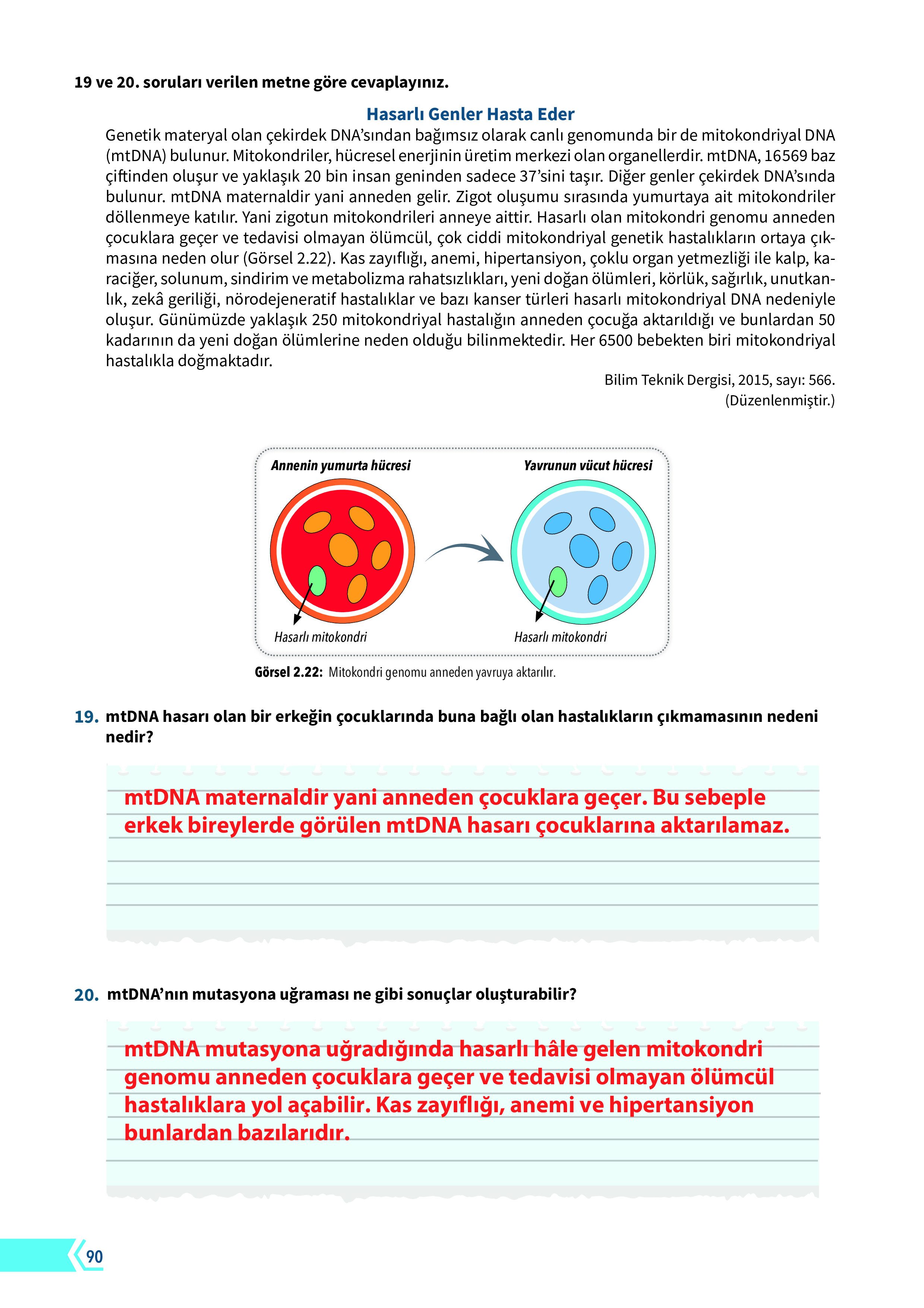 10. Sınıf Meb Yayınları Fen Lisesi Biyoloji Ders Kitabı Sayfa 90 Cevapları