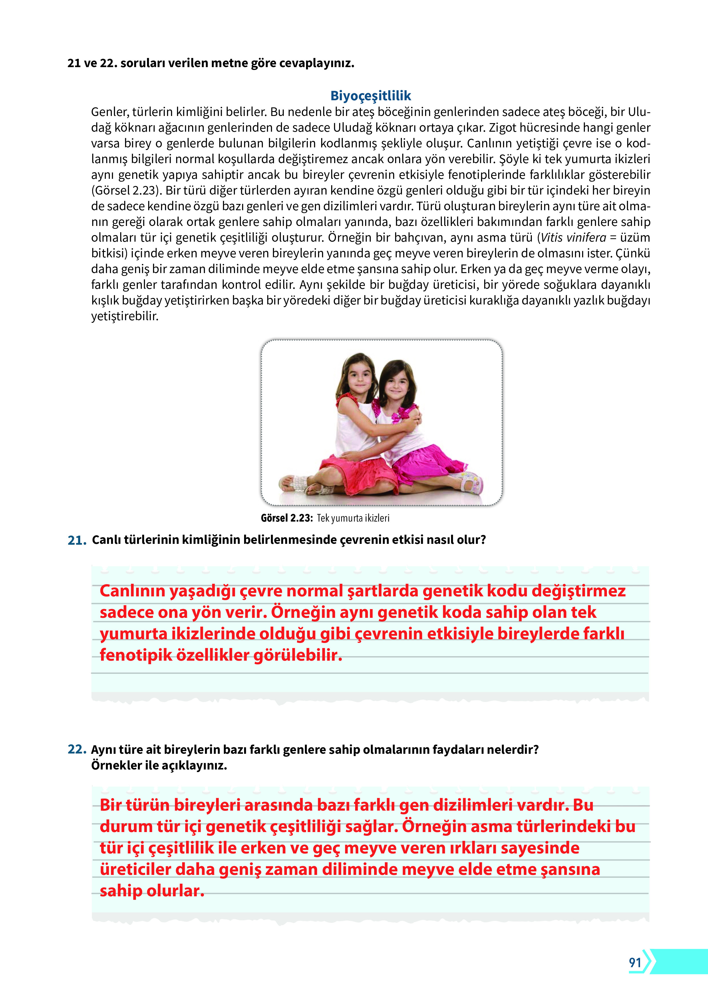 10. Sınıf Meb Yayınları Fen Lisesi Biyoloji Ders Kitabı Sayfa 91 Cevapları