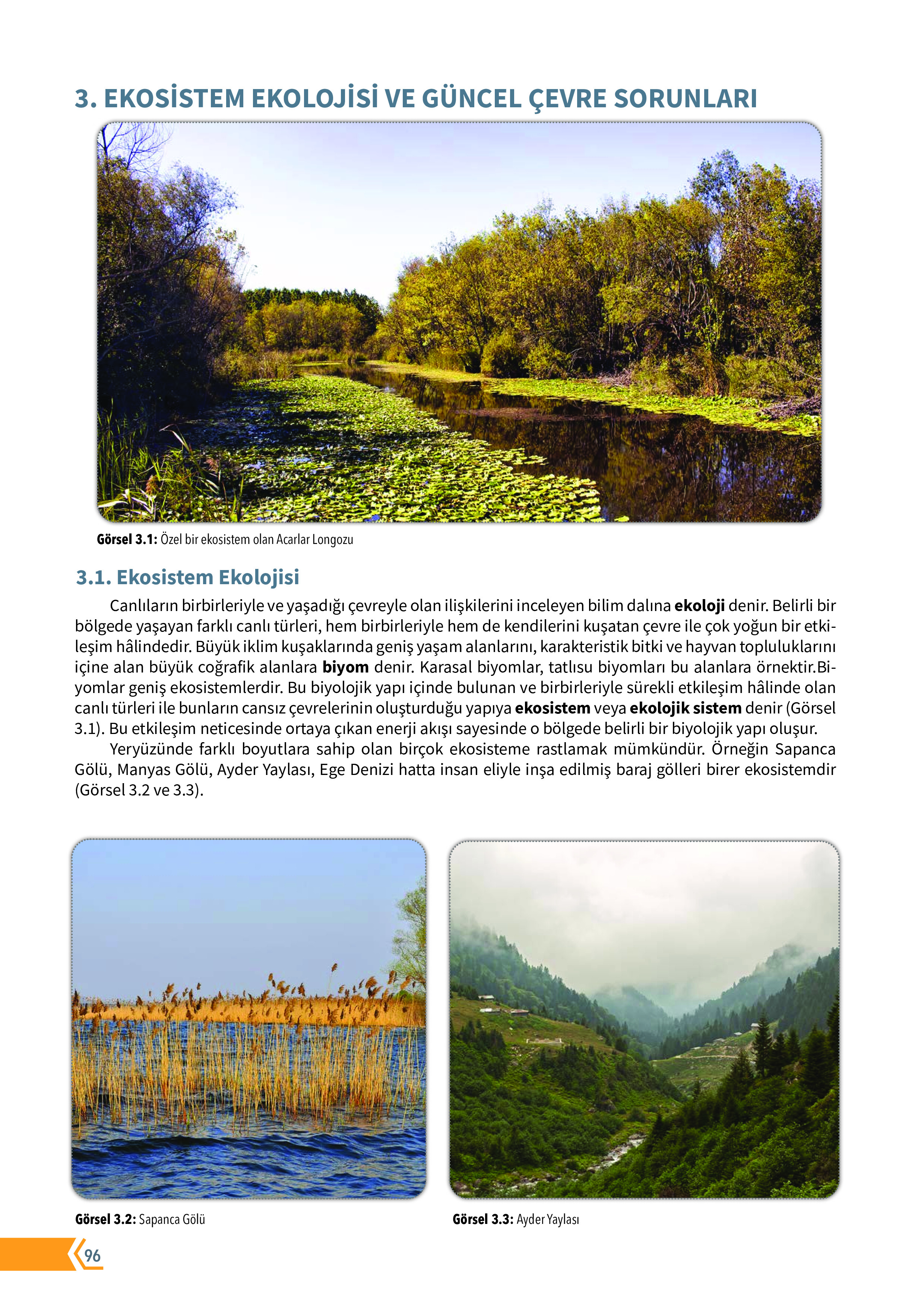 10. Sınıf Meb Yayınları Fen Lisesi Biyoloji Ders Kitabı Sayfa 96 Cevapları