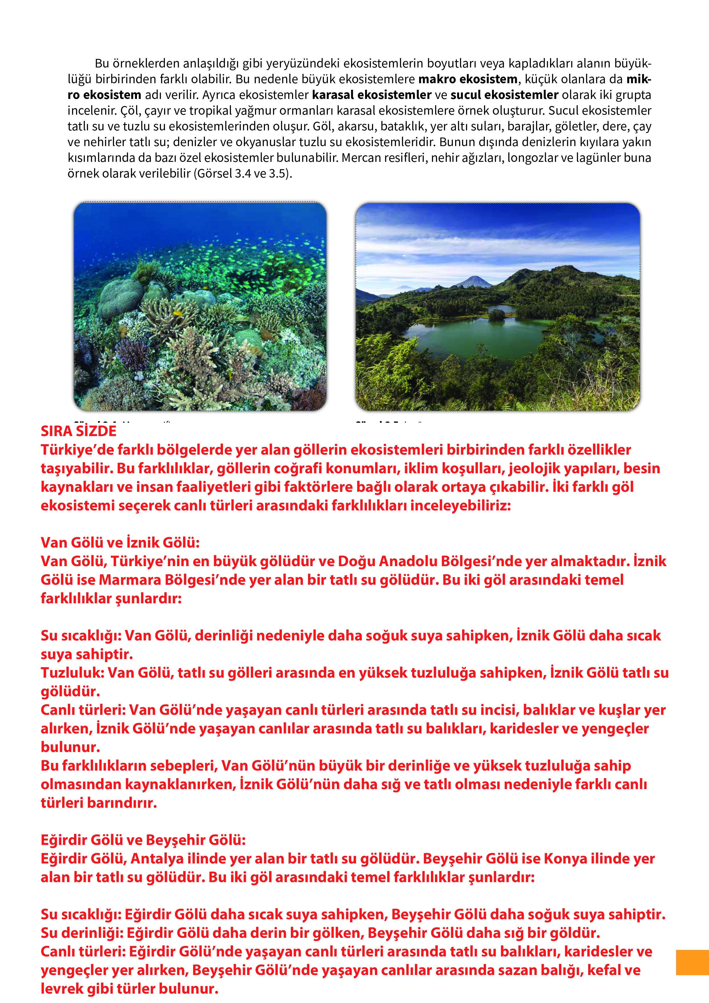 10. Sınıf Meb Yayınları Fen Lisesi Biyoloji Ders Kitabı Sayfa 97 Cevapları 10. Sınıf Meb Yayınları Fen Lisesi Biyoloji Ders Kitabı Sayfa 97 Cevapları